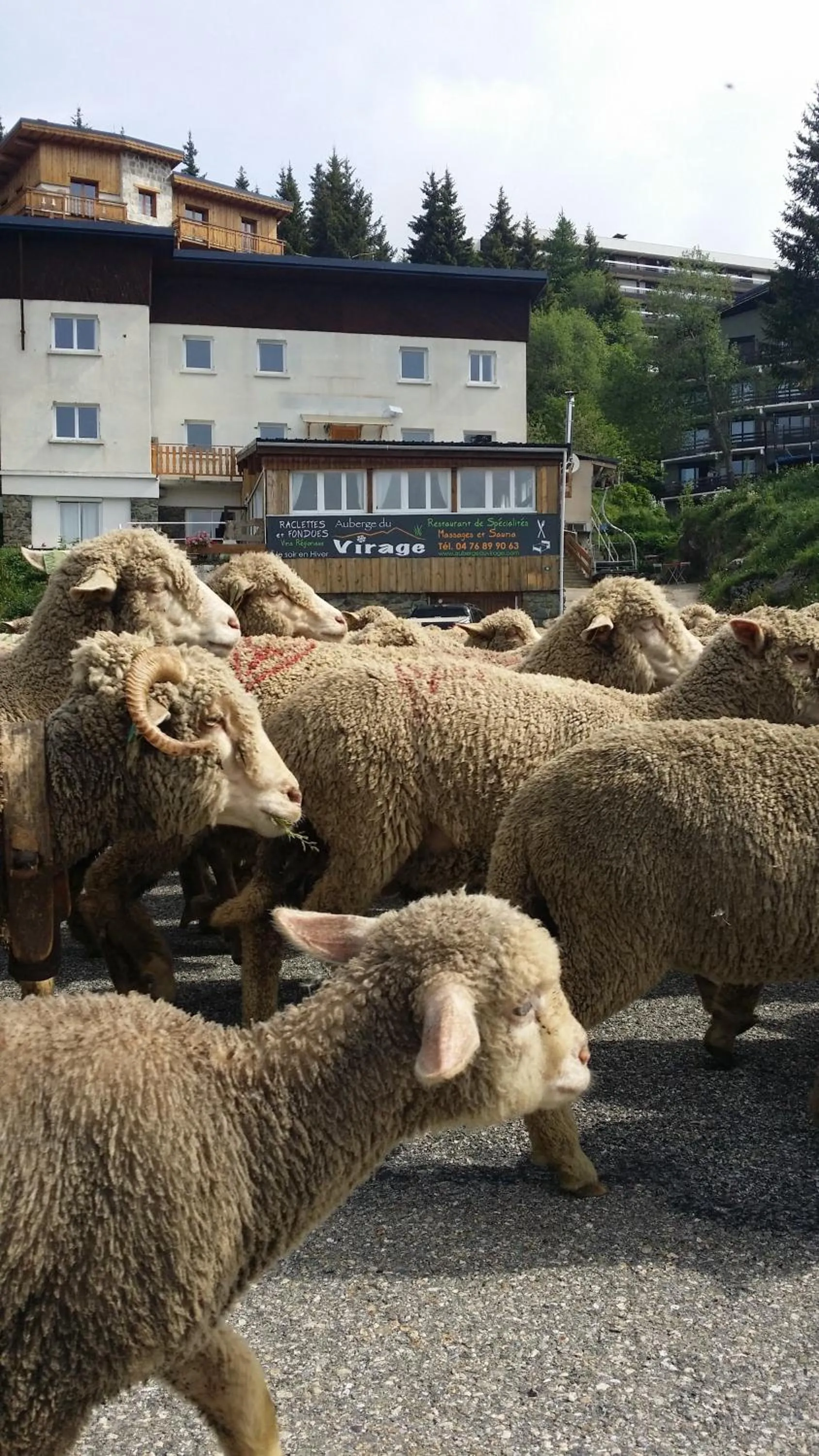 Activities in Auberge Restaurant du Virage