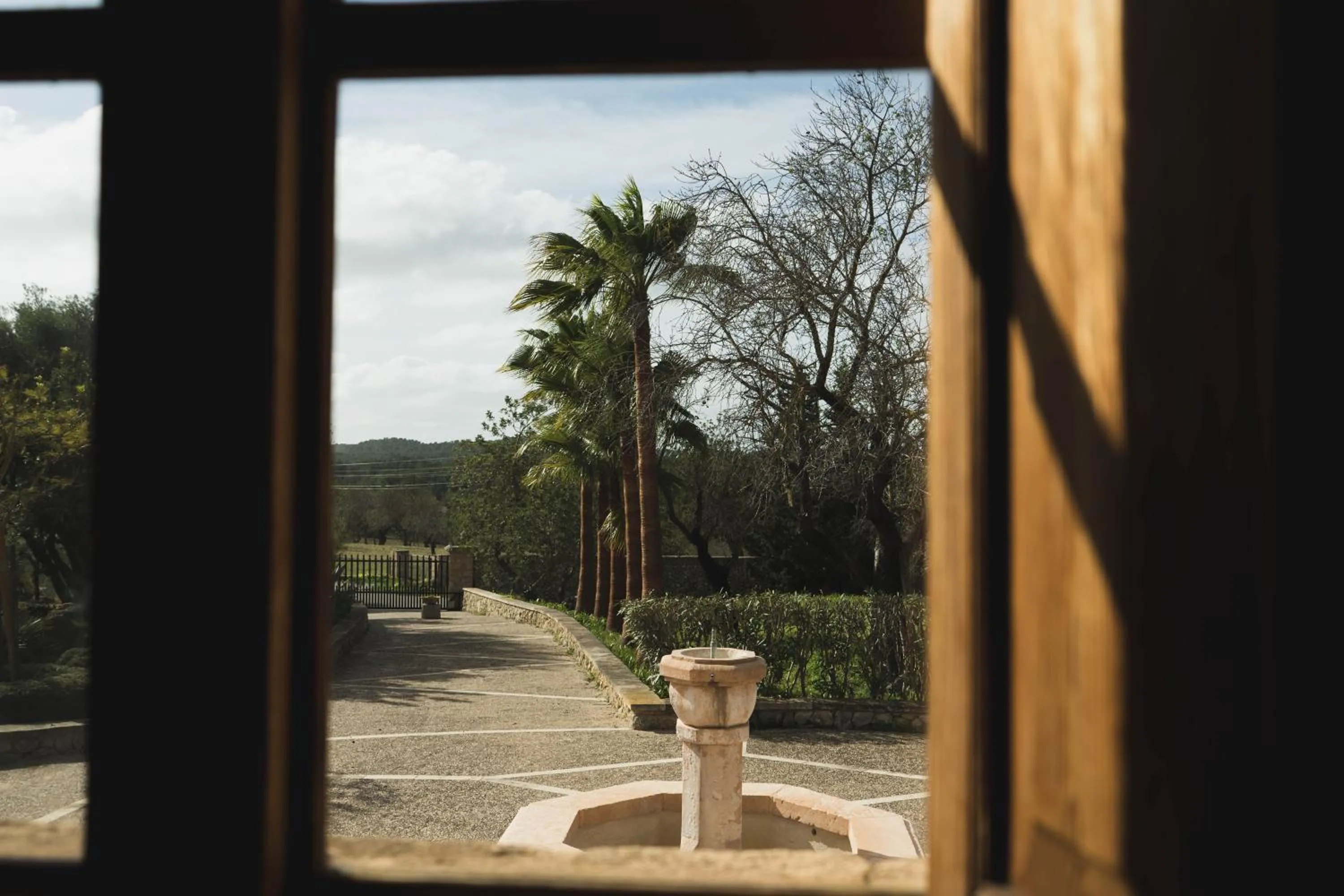 Garden view in Finca Can Estades