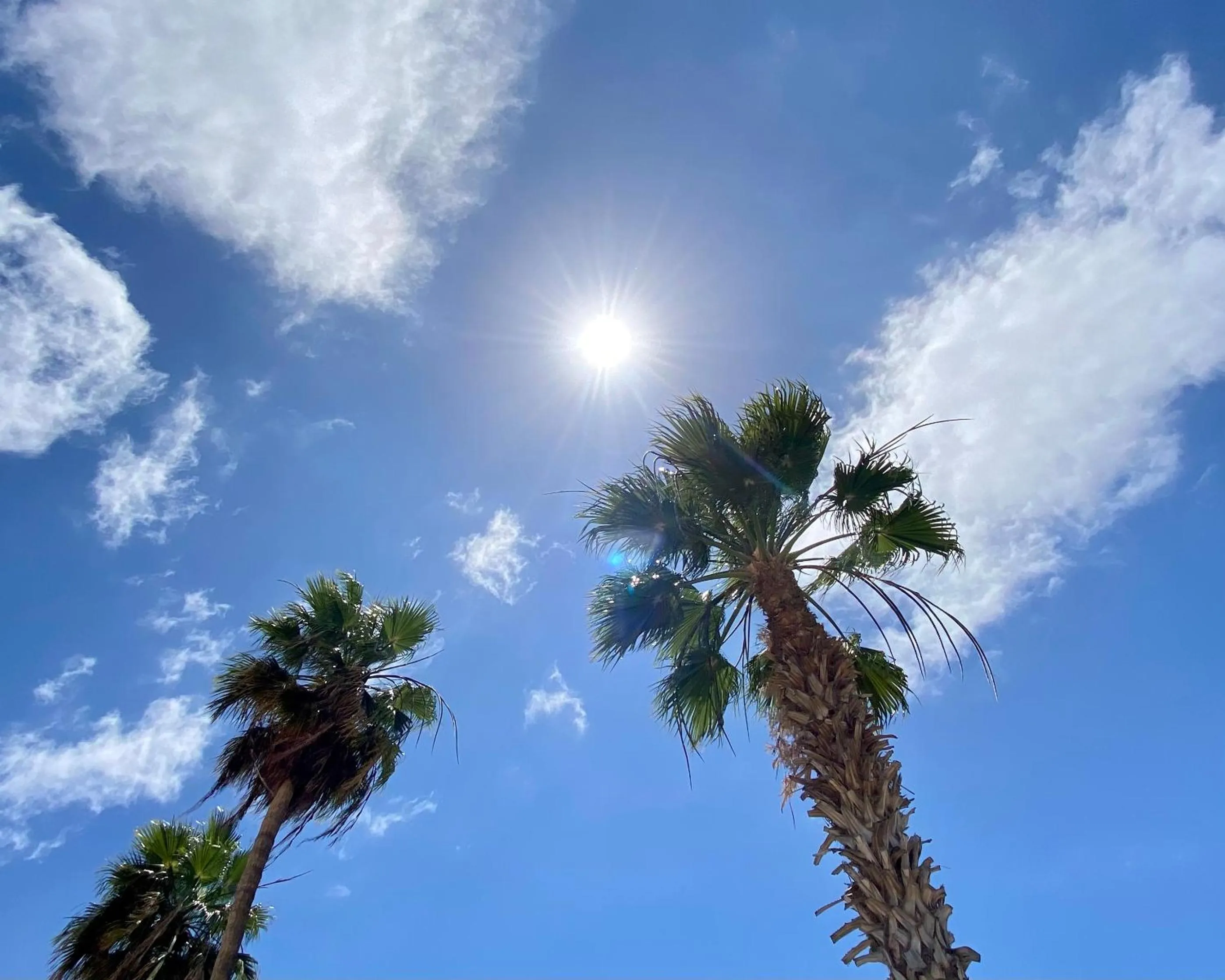 Garden view in Leticia del Mar Adults Only