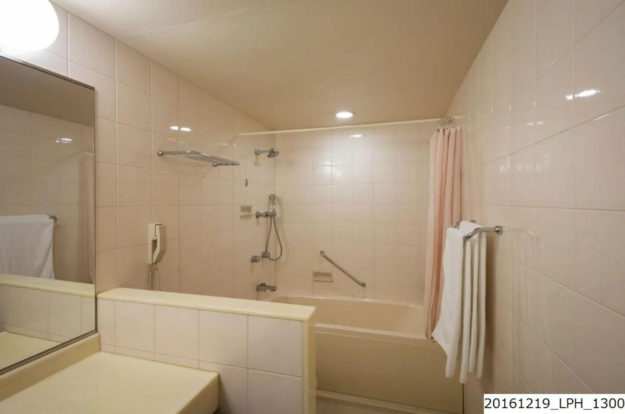 Shower in Luke Plaza Hotel