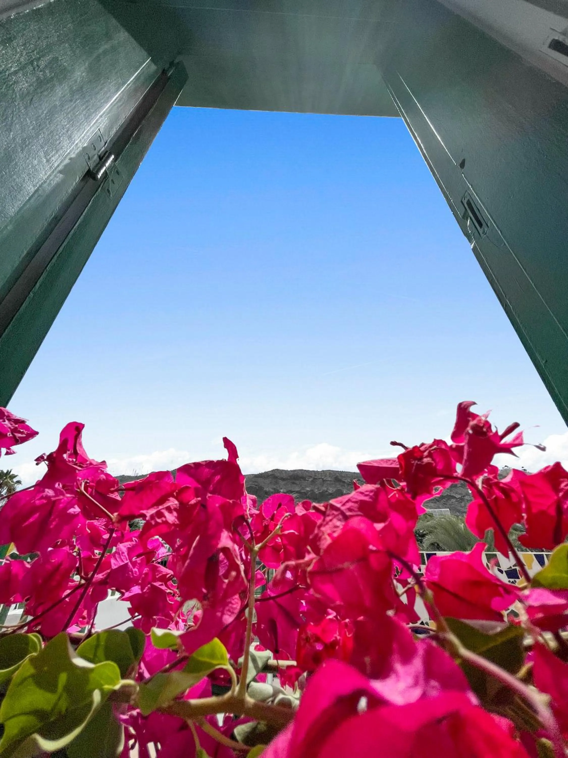 Garden in Parque Raquel