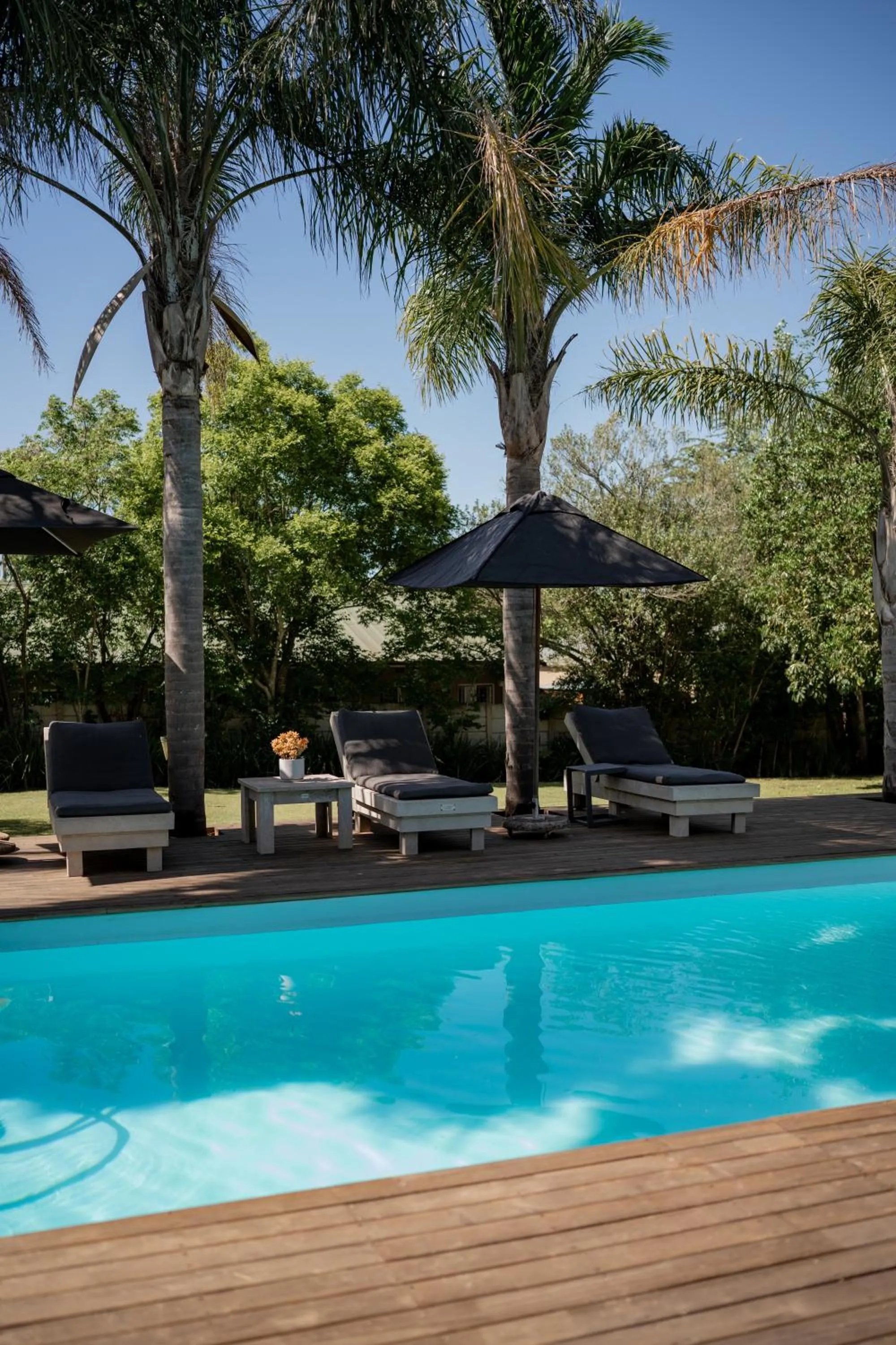 Swimming pool in Elianthe Guesthouse