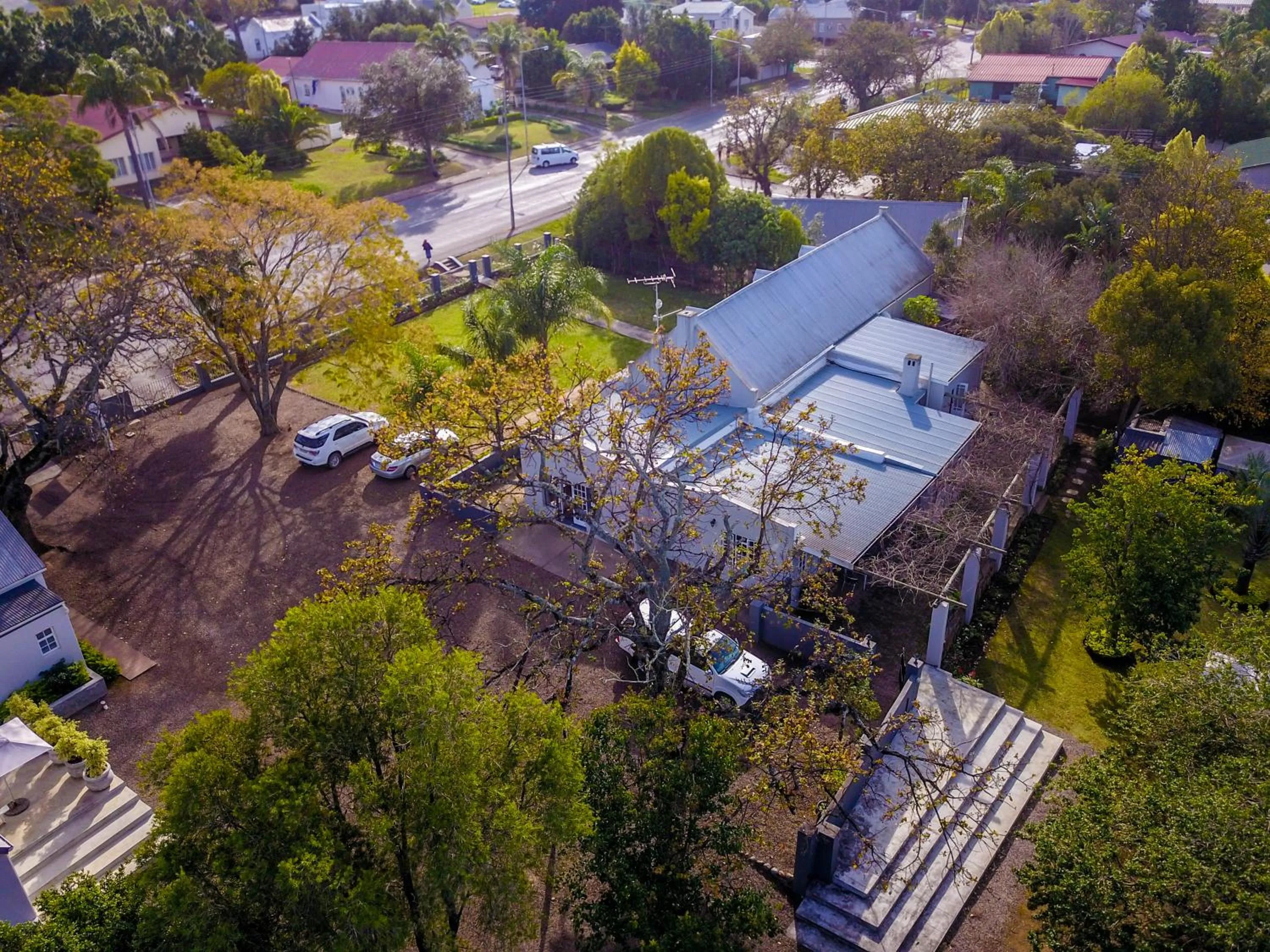 Garden in Elianthe Guesthouse