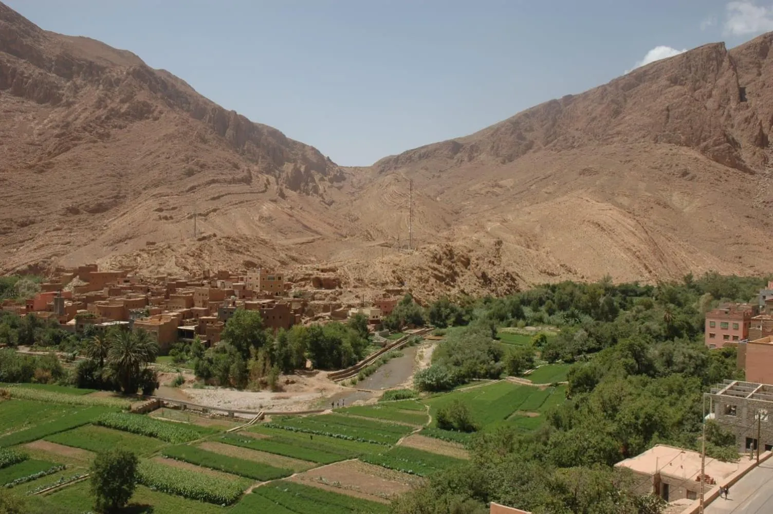 Garden in Riad Sephora