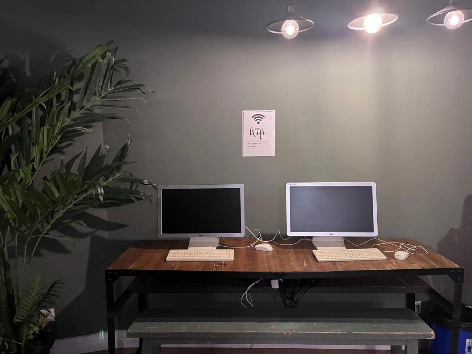 Living room in Black Swan Hostel