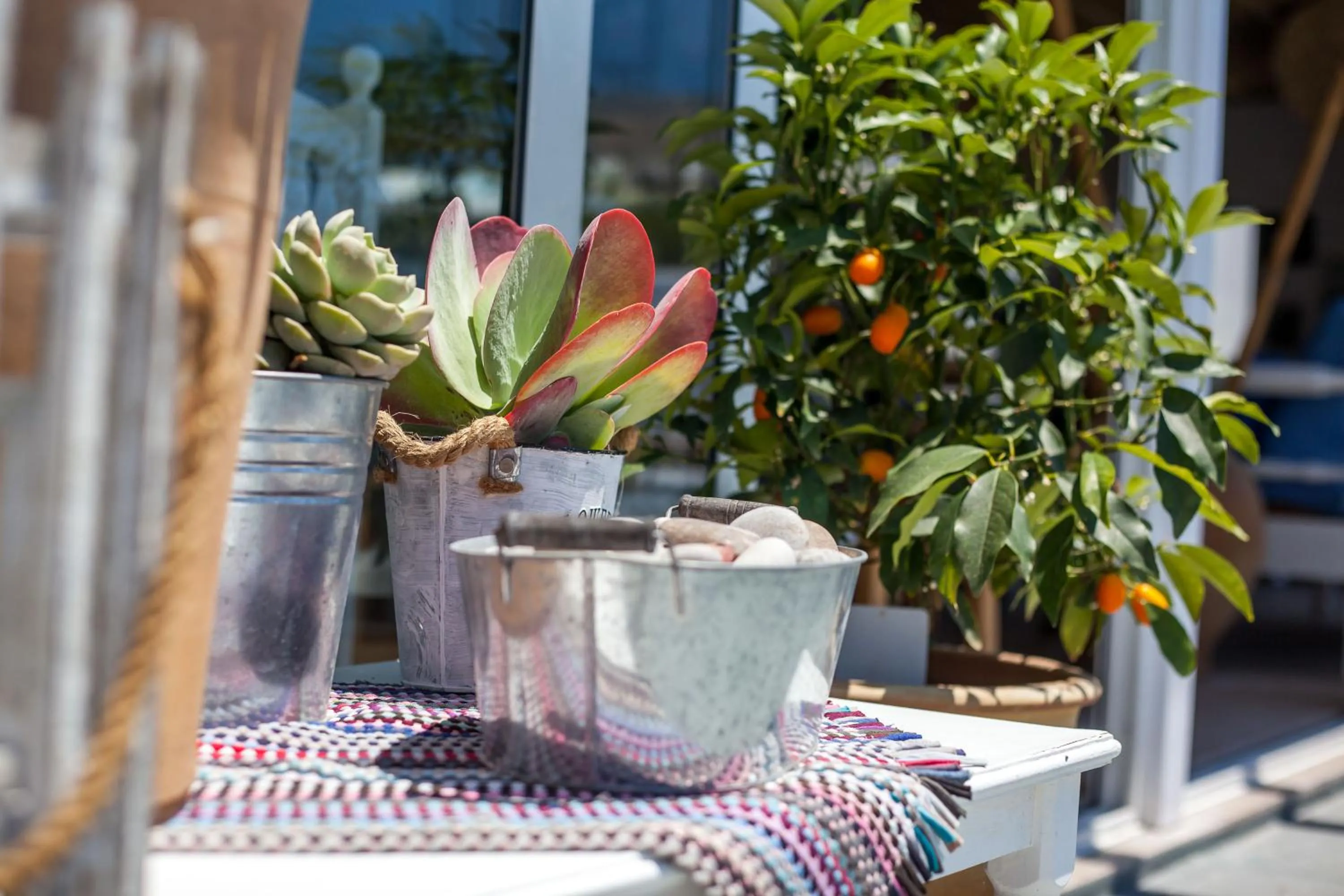 Garden in Tinas Plus Hotel