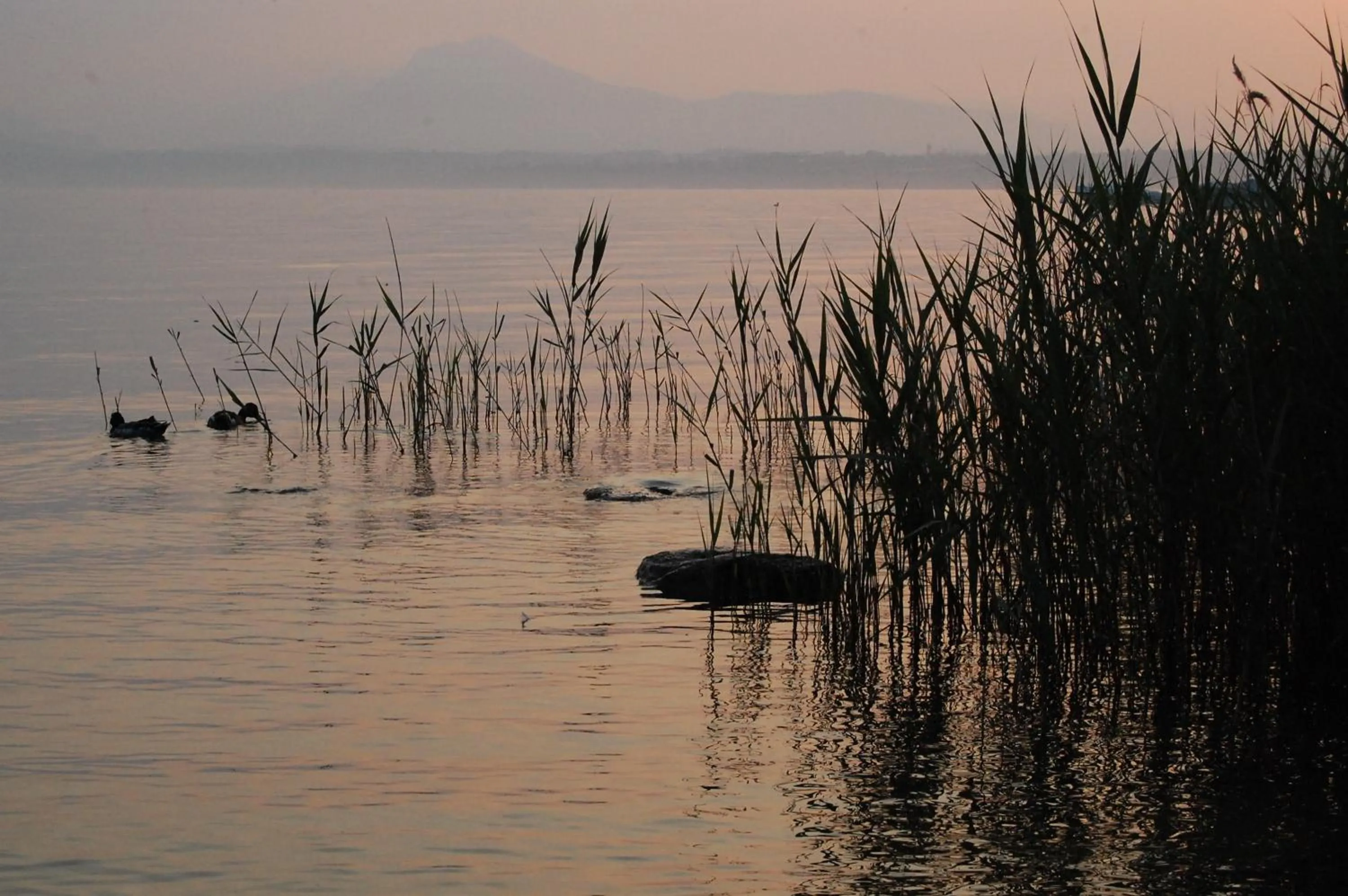 Natural landscape in Relais Corte Bergamini