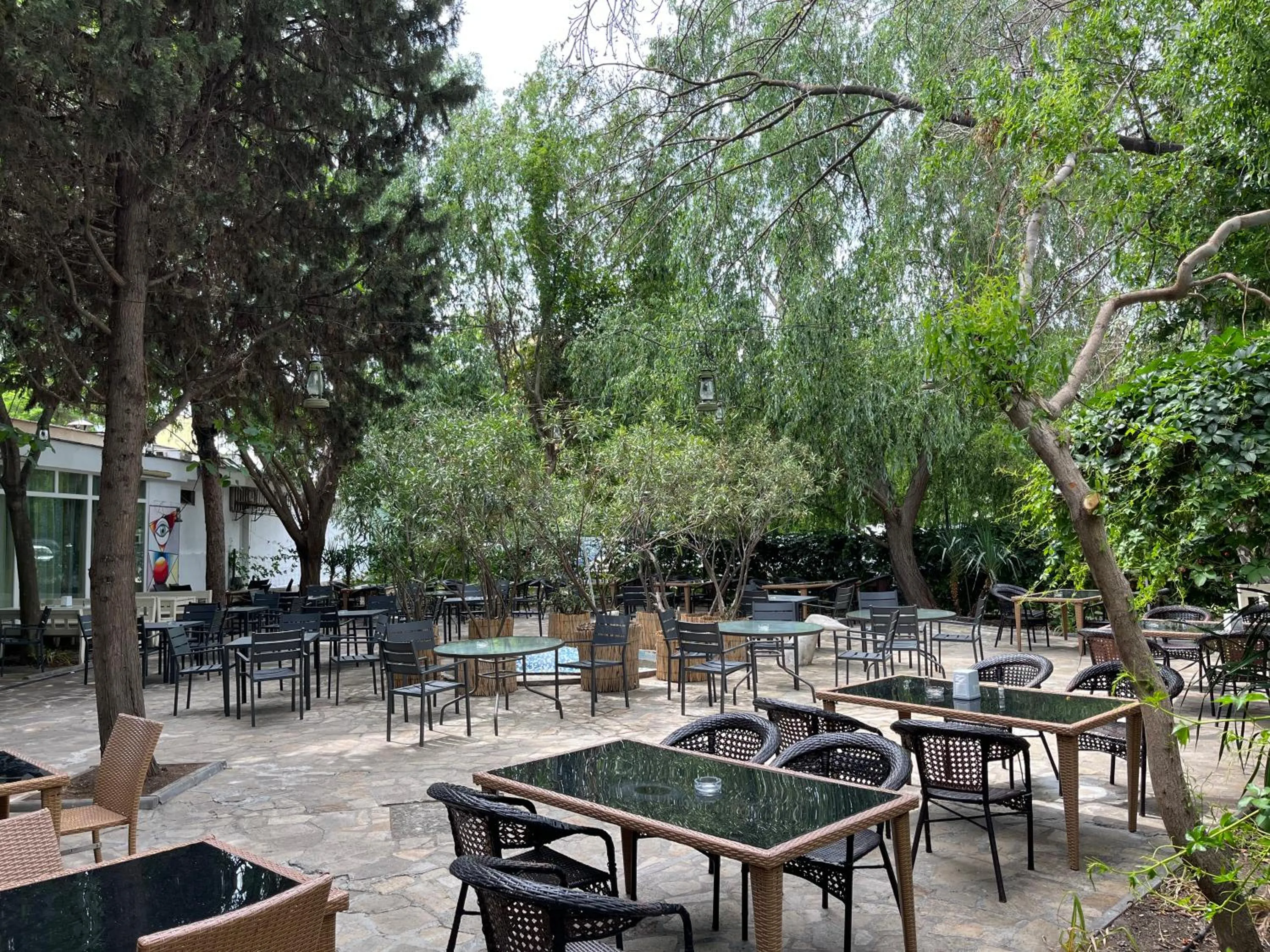 Restaurant/places to eat in Hotel Arsenal