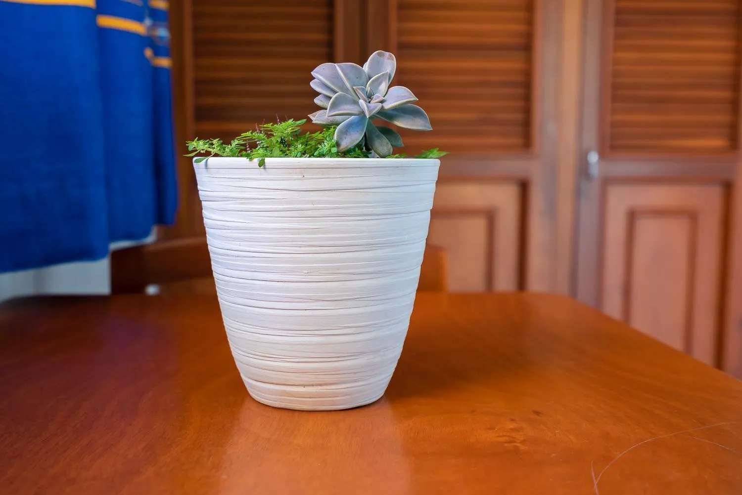 Decorative detail in Hotel Yumkiin - Cerca Del Ferry y Terminal ADO