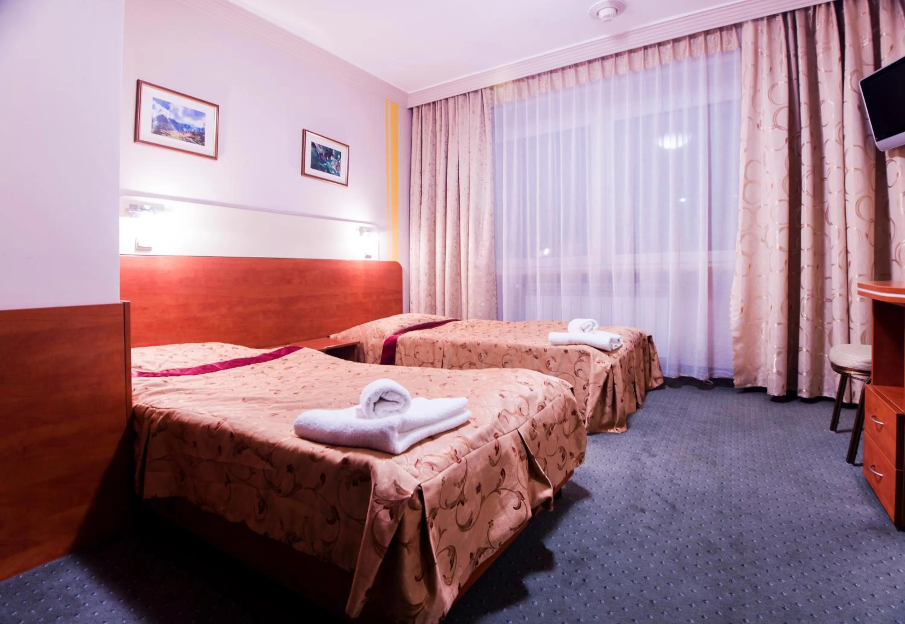 Standard Twin Room in Hotel Orion