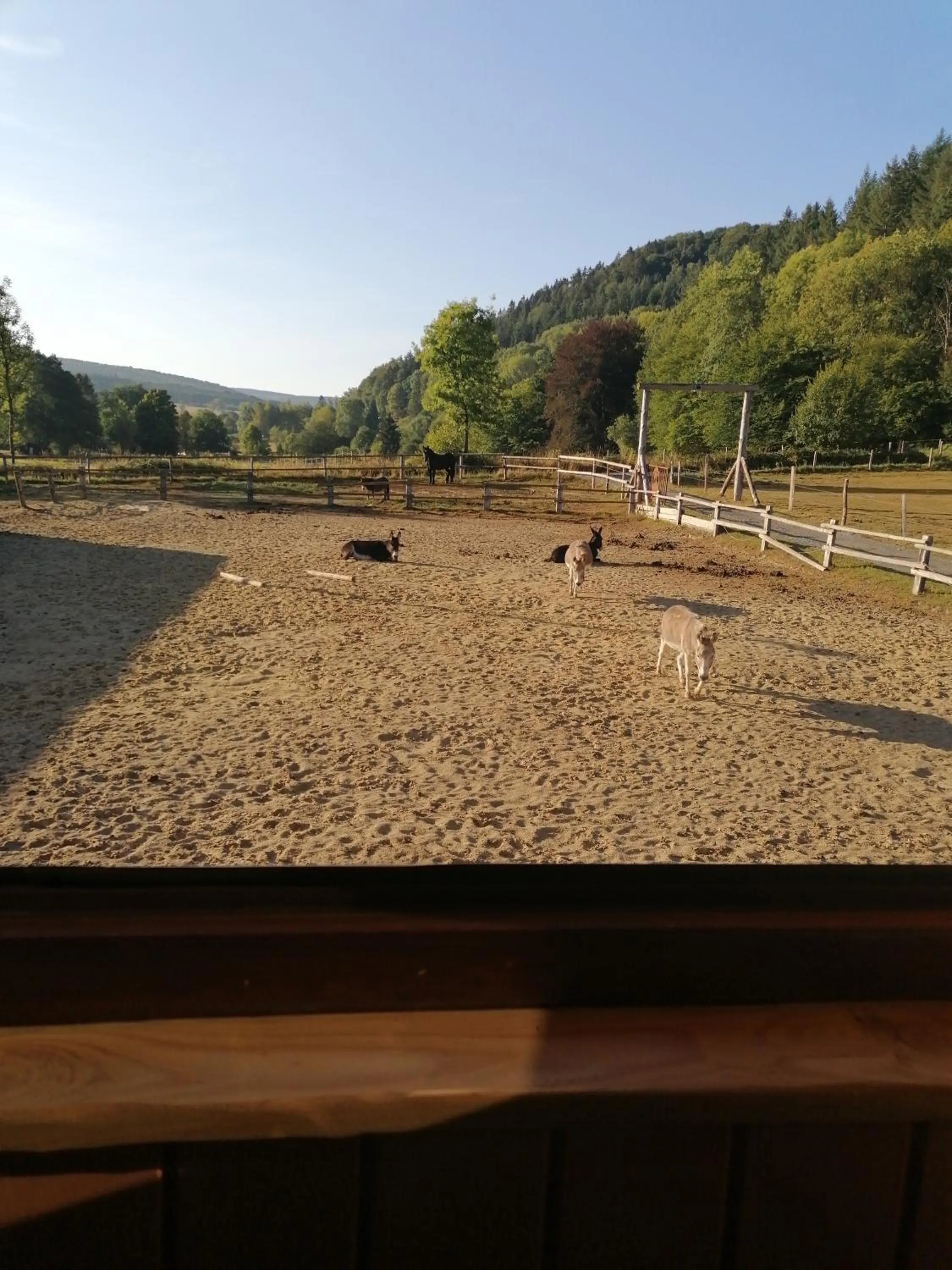 Area and facilities in Couettes et Picotin