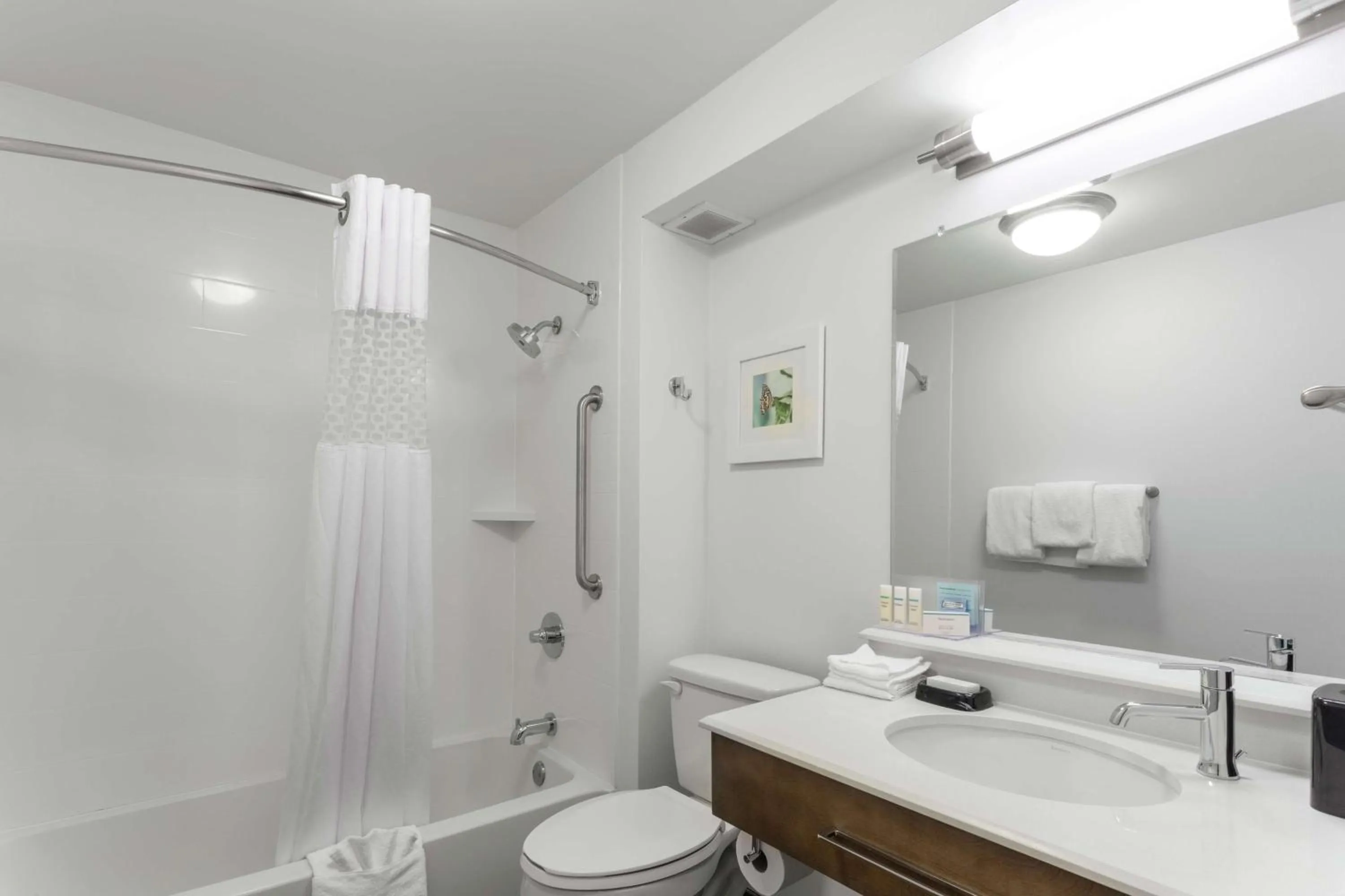 Bathroom in Hampton Inn Bloomington