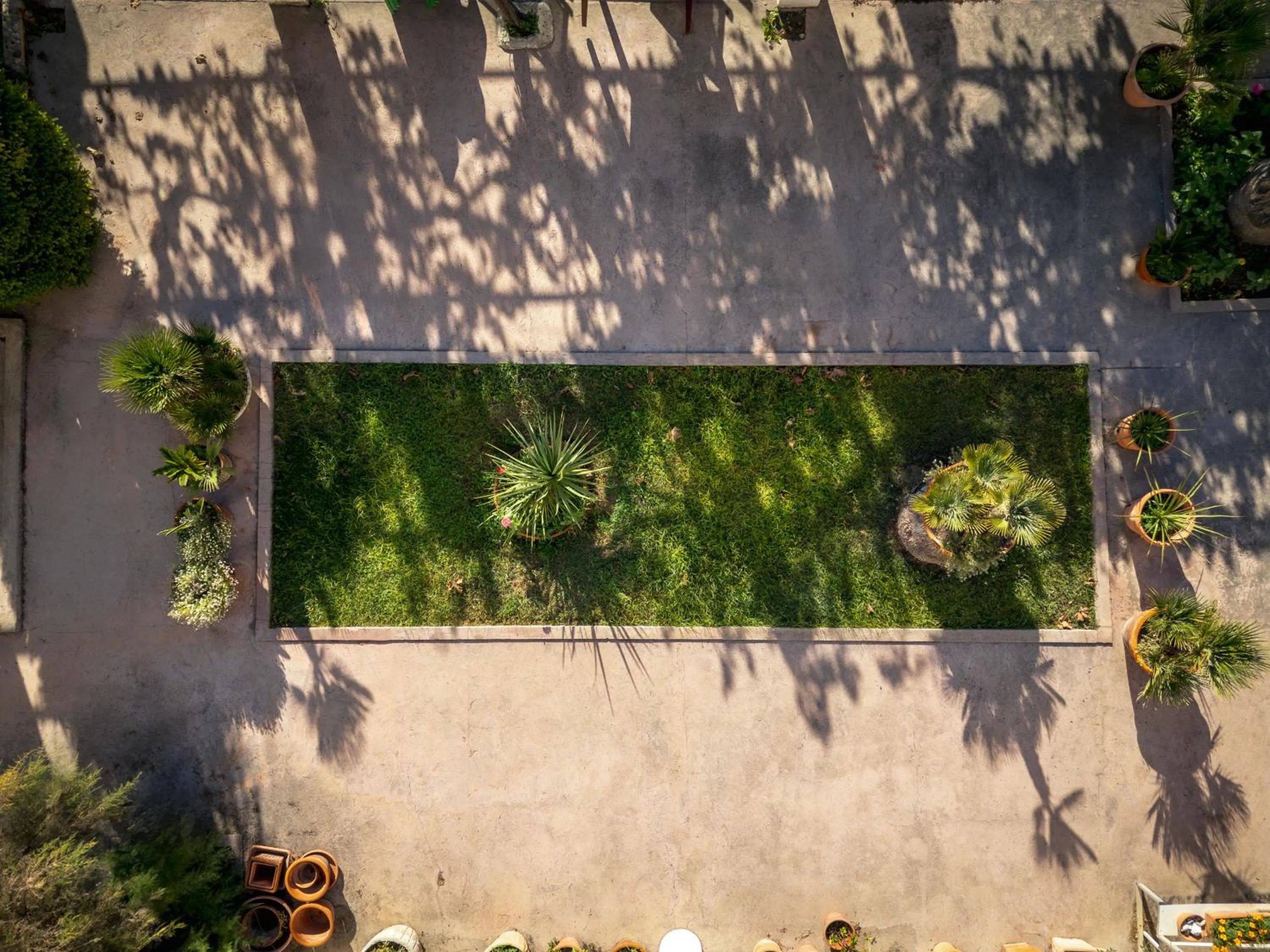 Garden in Hotel Giardino La Playa