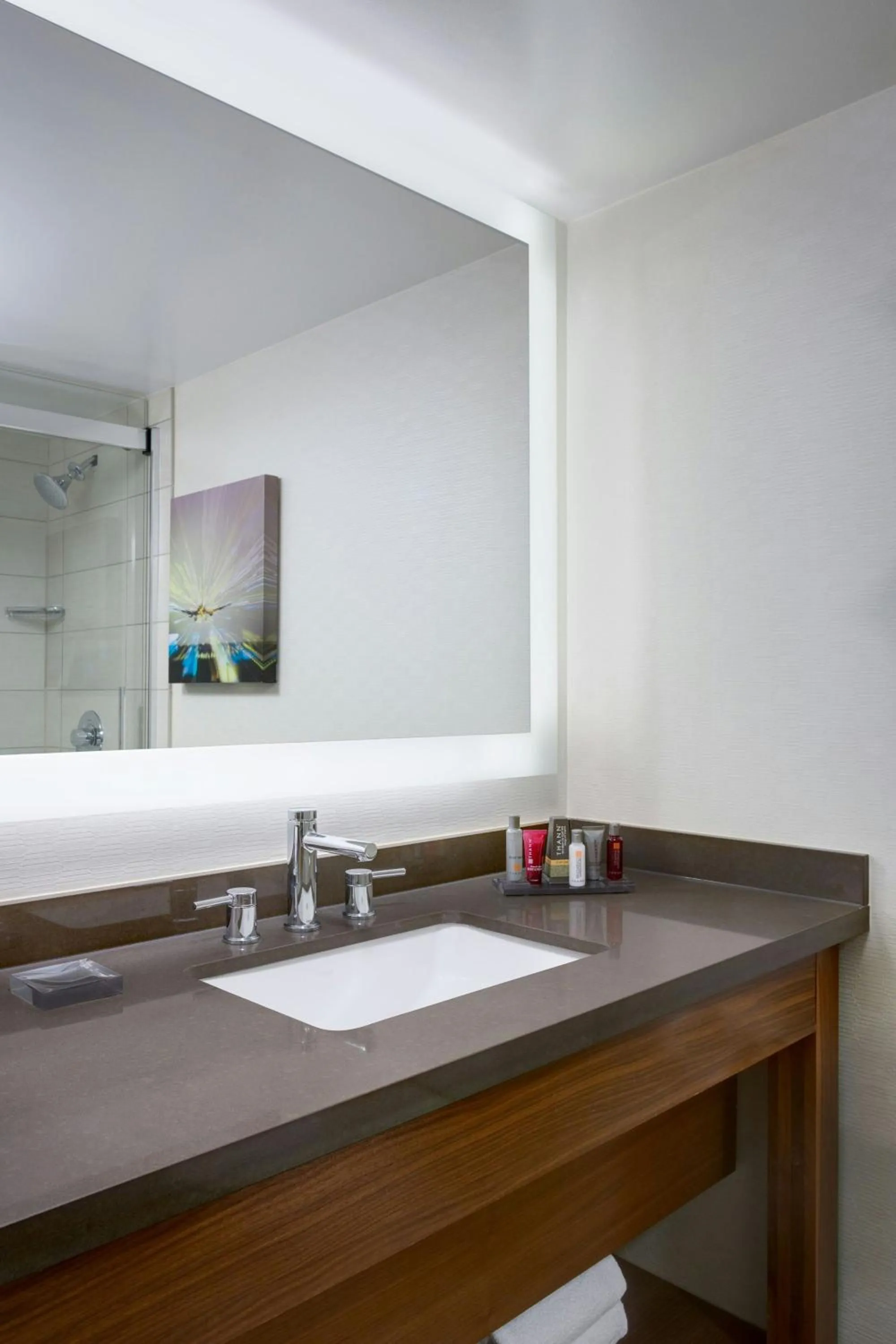 Bathroom in Houston Airport Marriott at George Bush Intercontinental