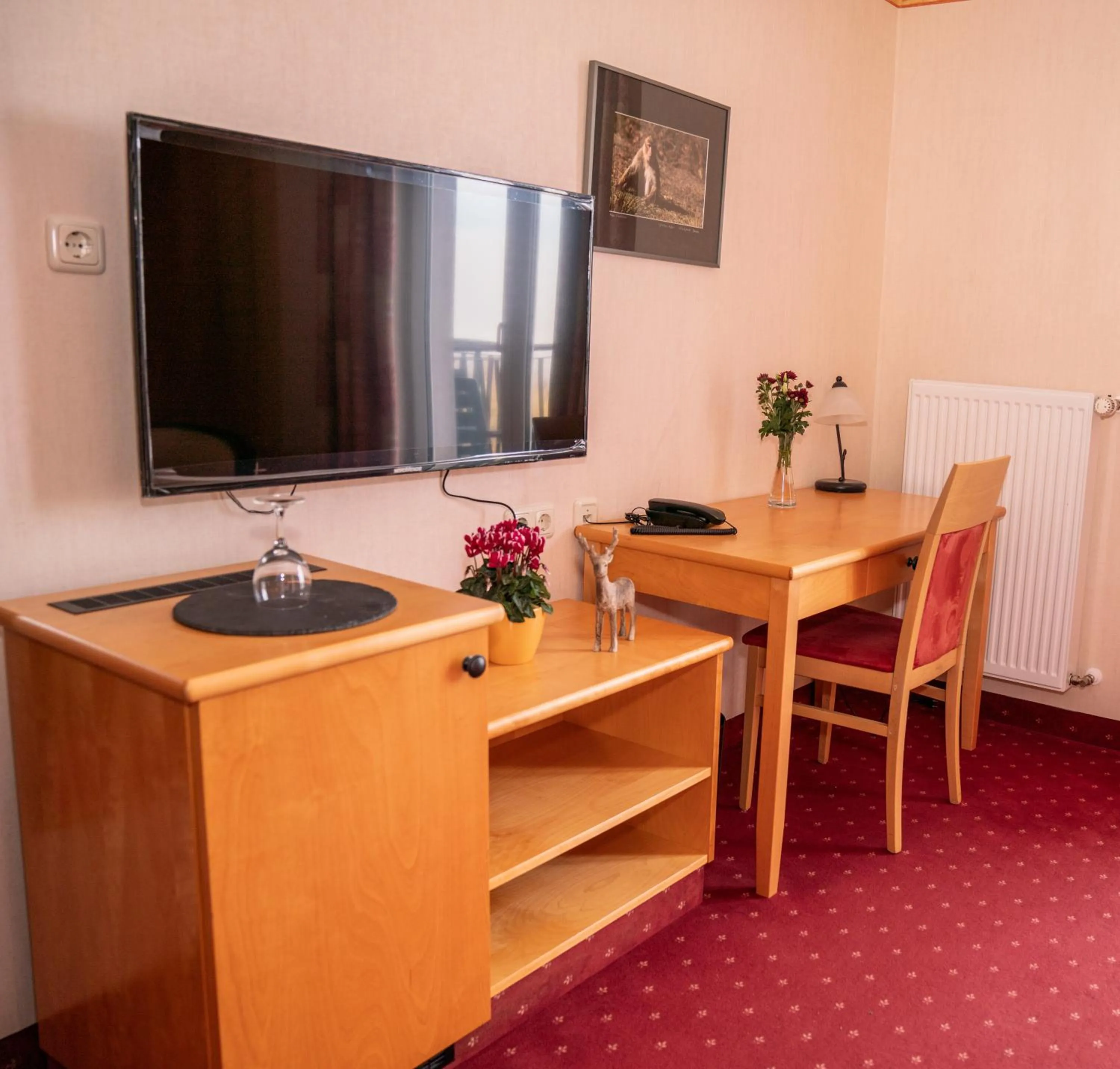 TV and multimedia in Hotel Löwenstein