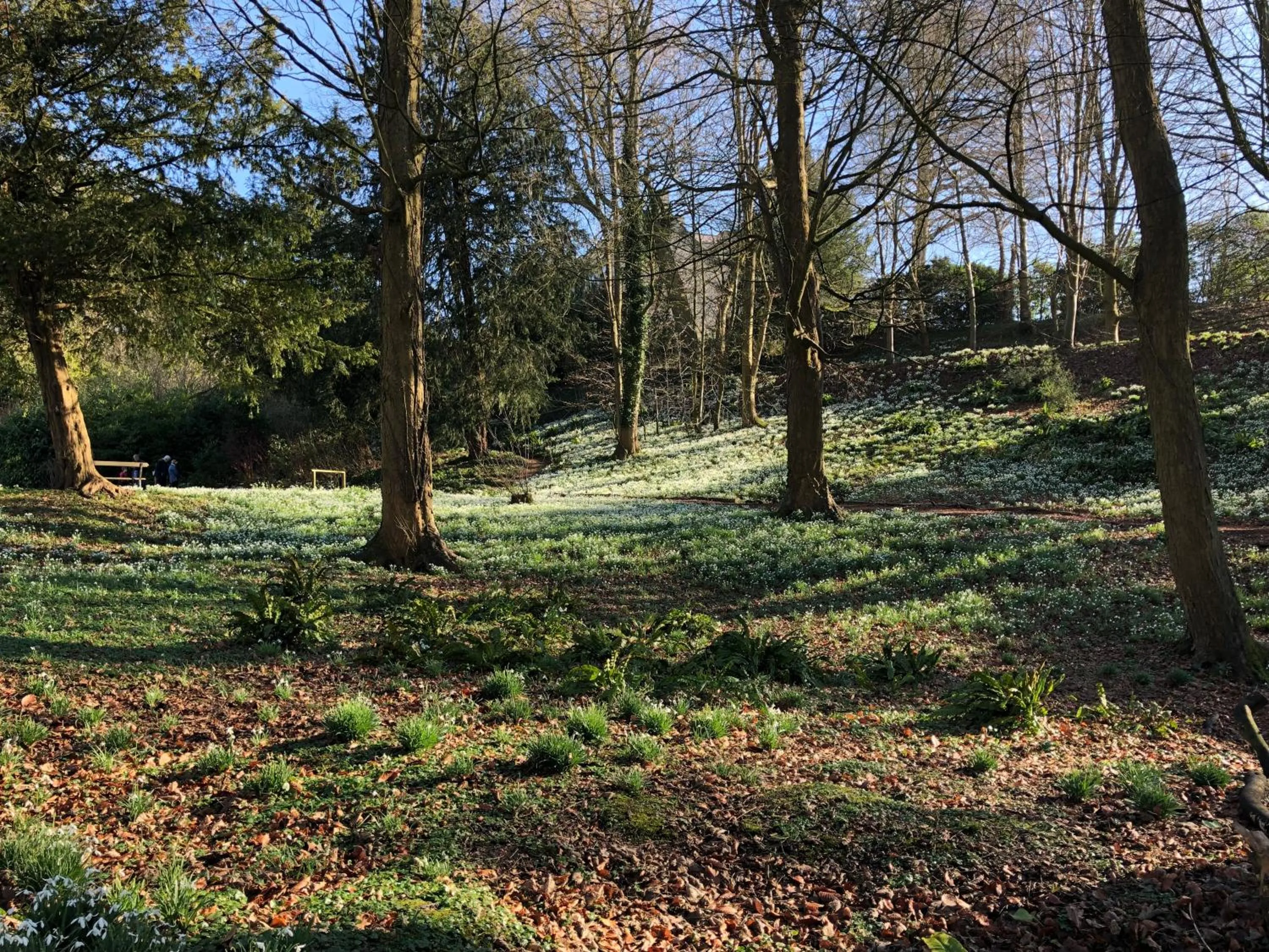 Nearby landmark in Cotswold Lodge