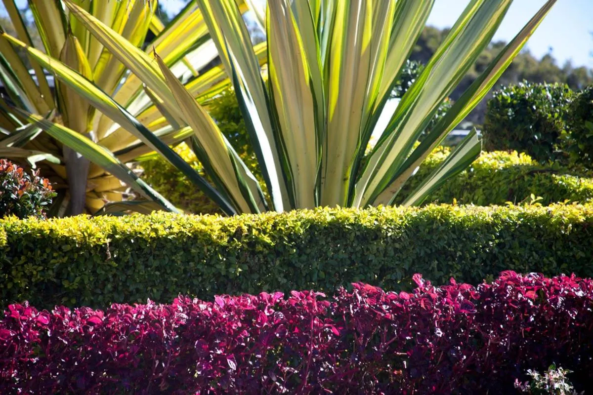 Beaches International