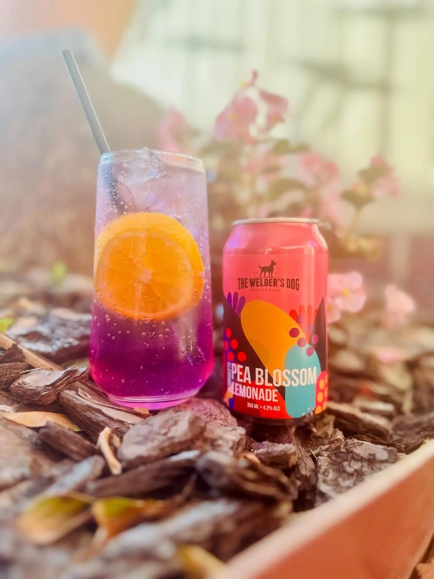 Food and drinks in Econo Lodge Gateway Tamworth