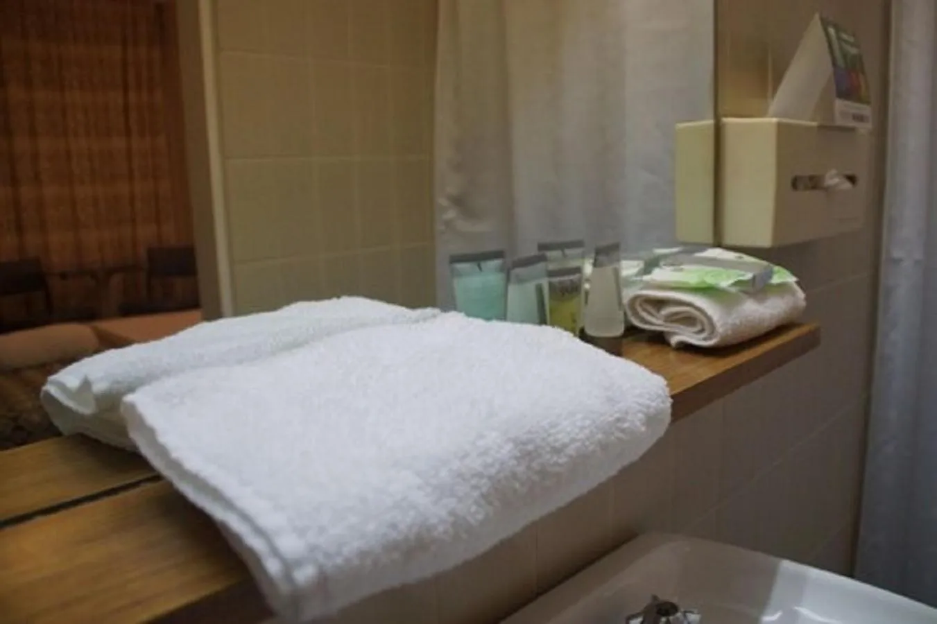 Bathroom, Bed in Econo Lodge Gateway Tamworth