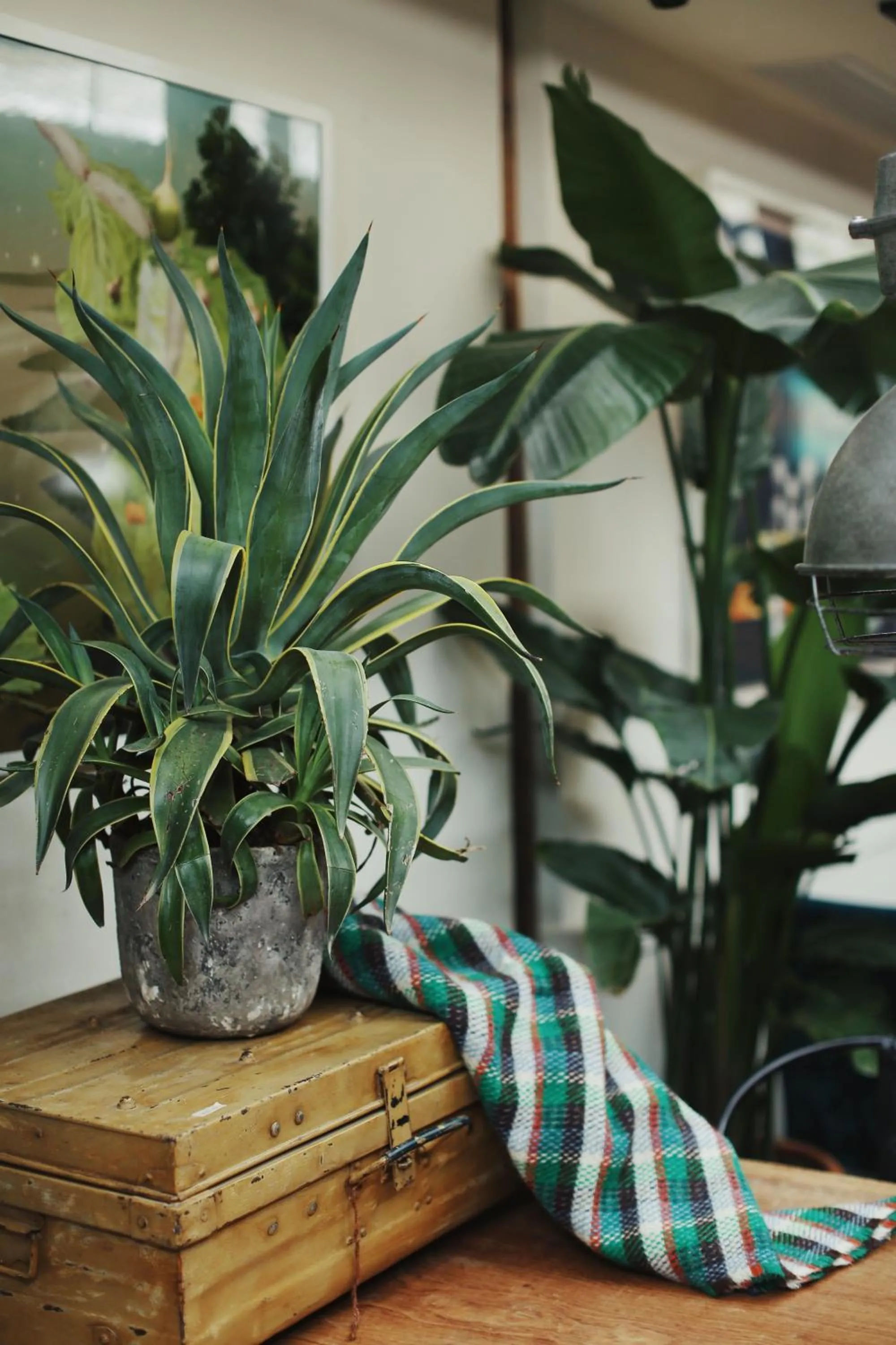 Lobby or reception in Peking Yard Boutique Hotel