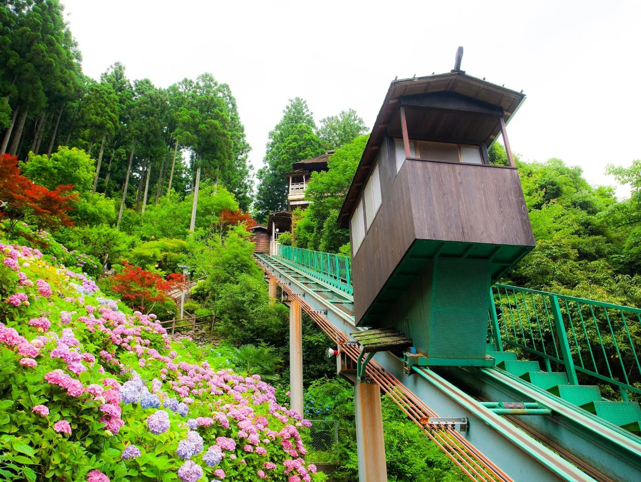 Activities in Hotel Kazurabashi