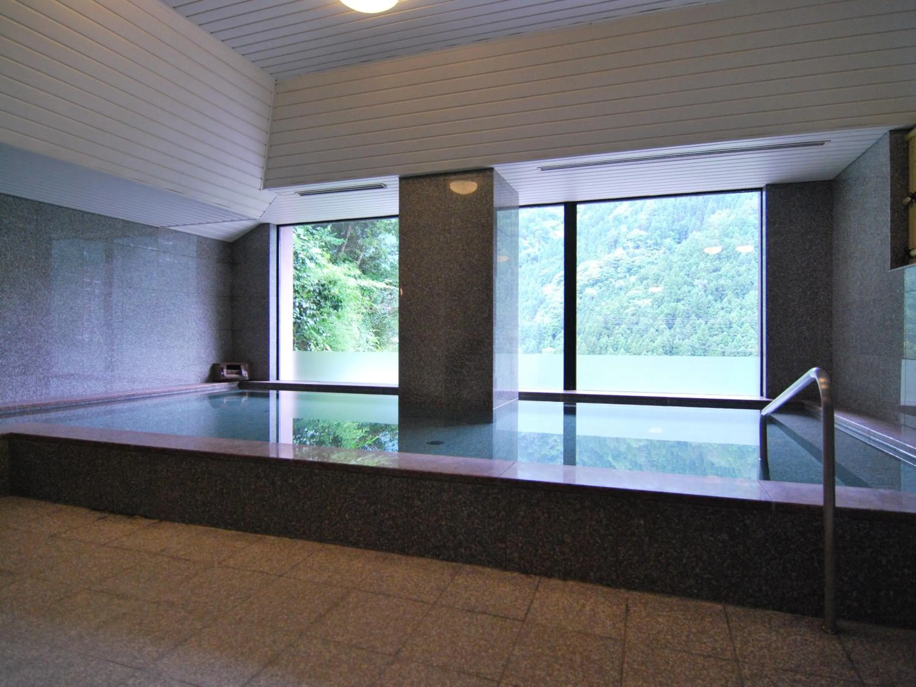 Hot Spring Bath in Hotel Kazurabashi