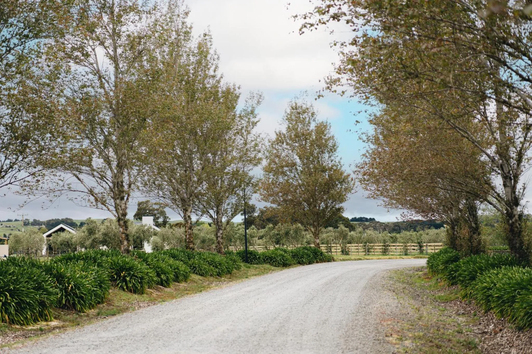 Brackenridge Country Retreat & Spa