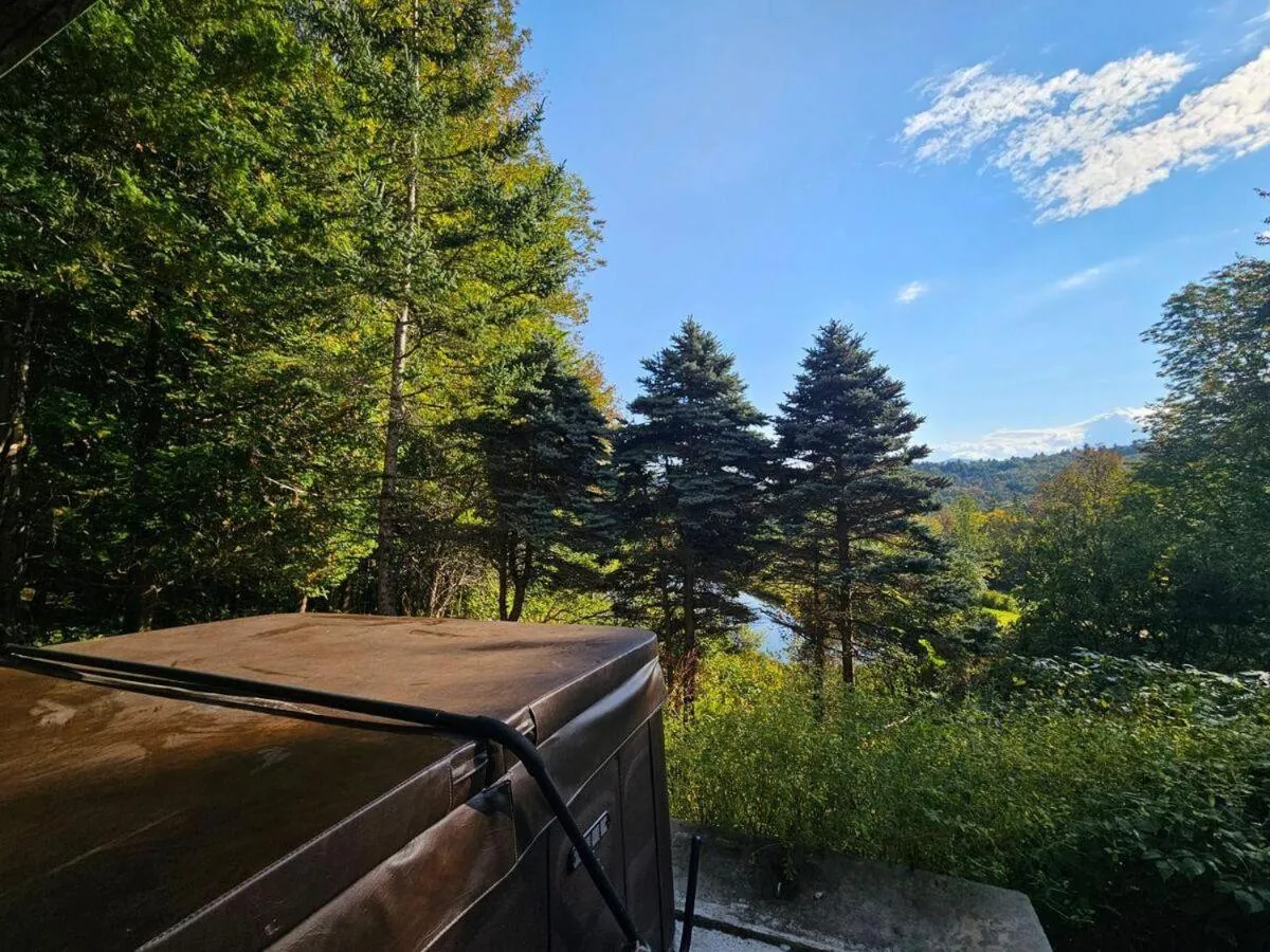 Silver Spring Chalet