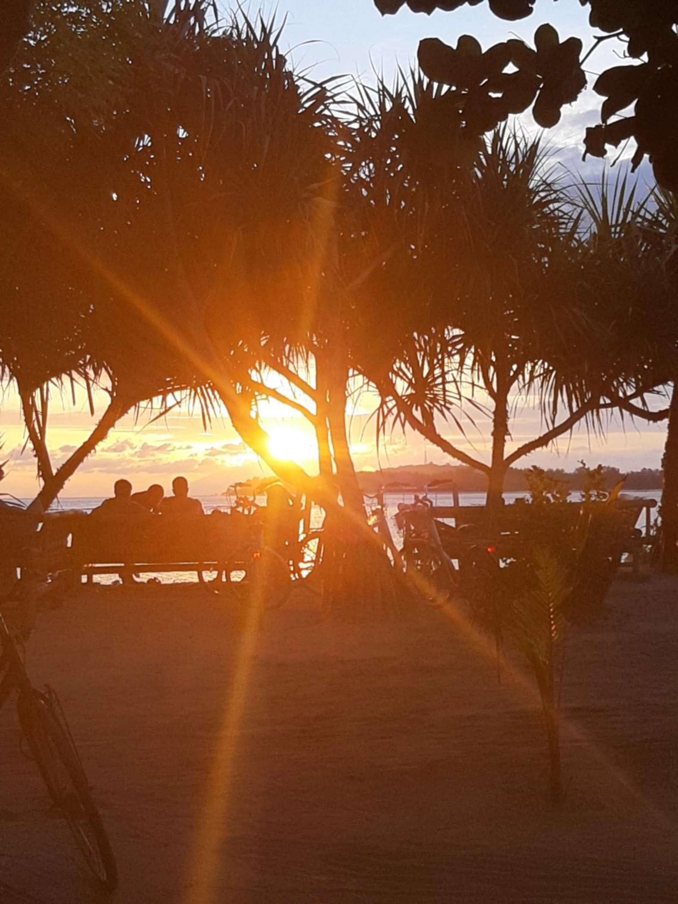 Island View Bar & Bungalow