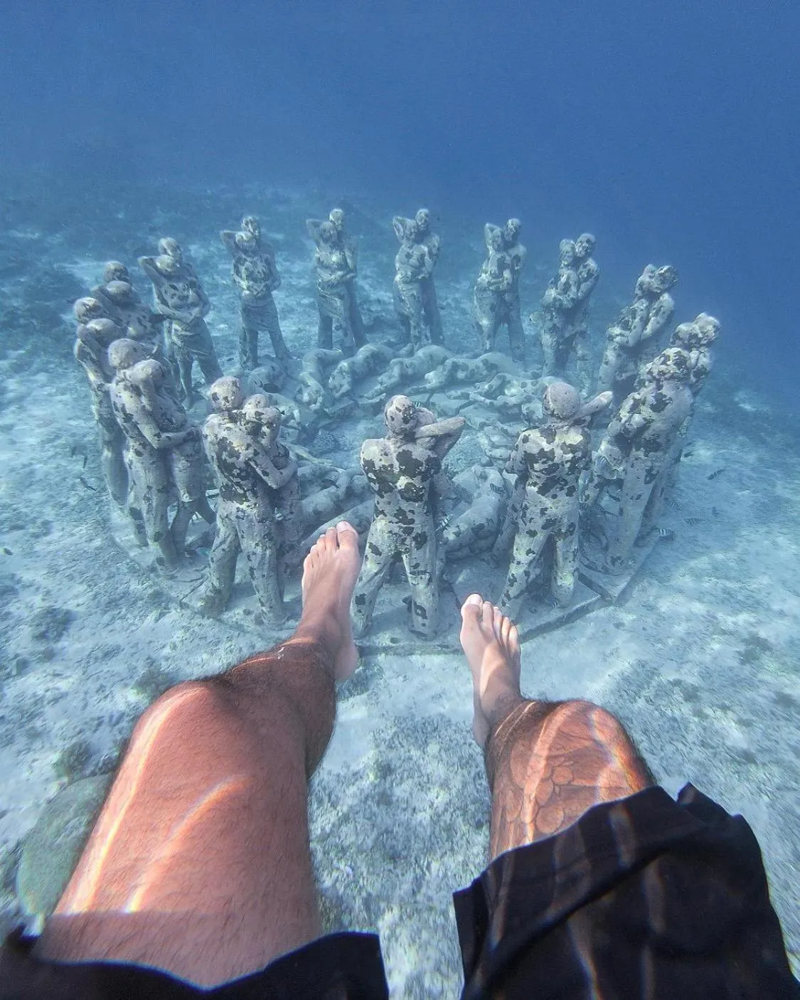 Island View Bar & Bungalow