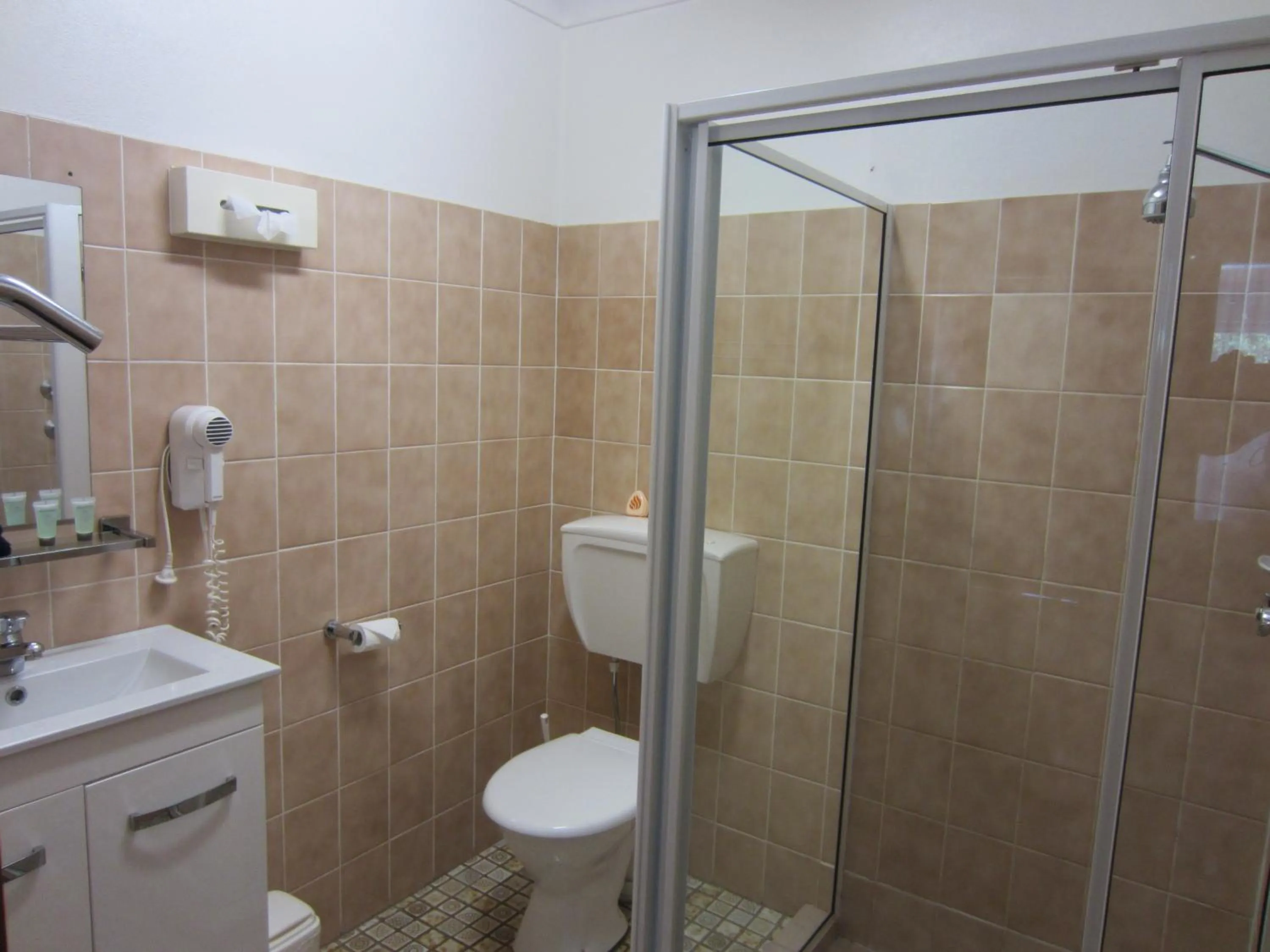 Toilet in Cowra Crest Motel