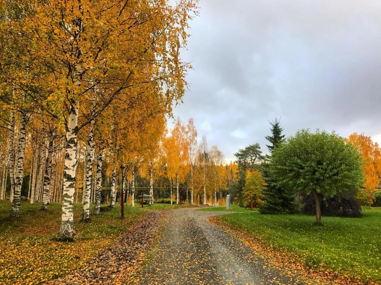 Natural landscape in Holiday Village Tahko-Tours