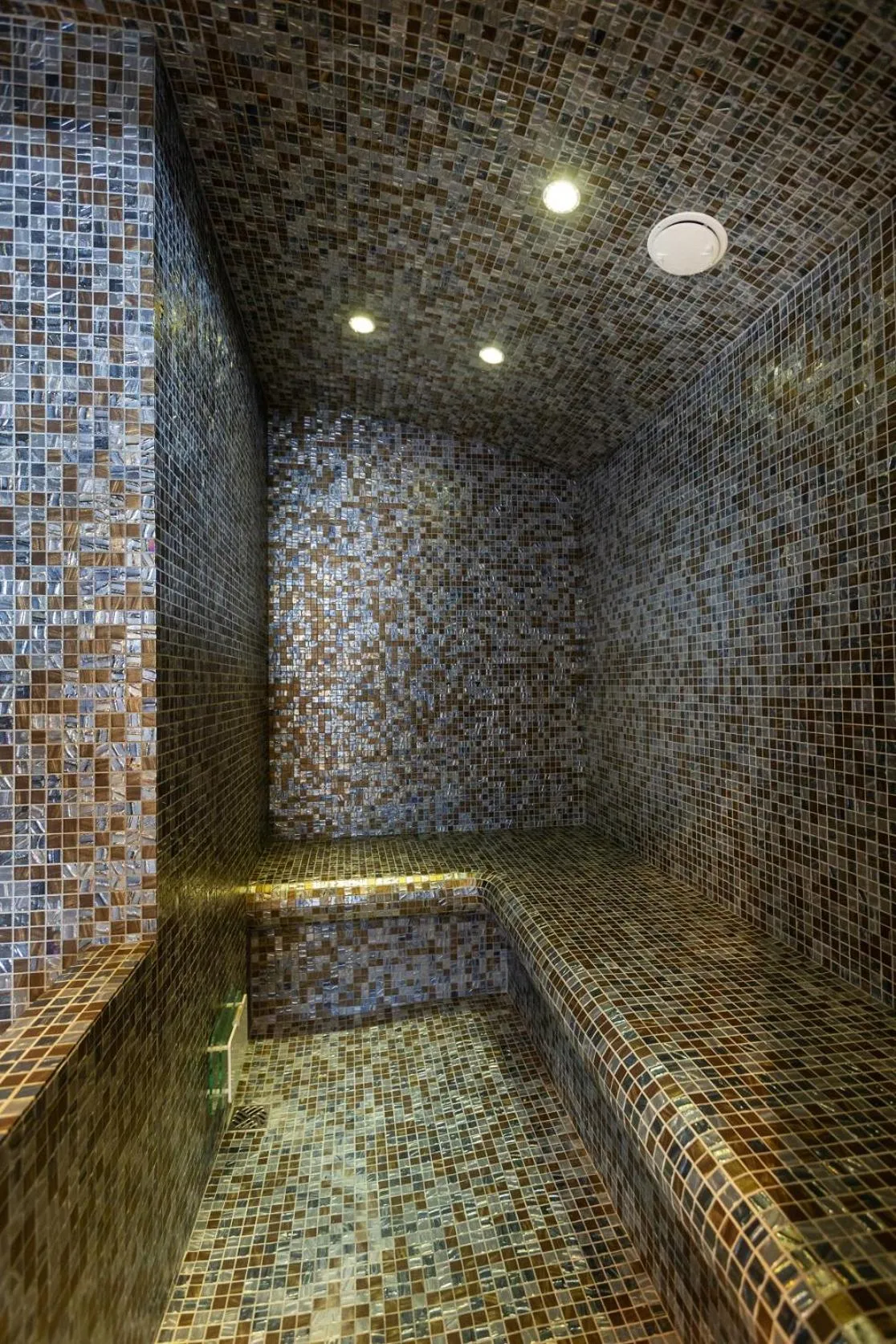 Steam room in Chalet des Neiges Hermine