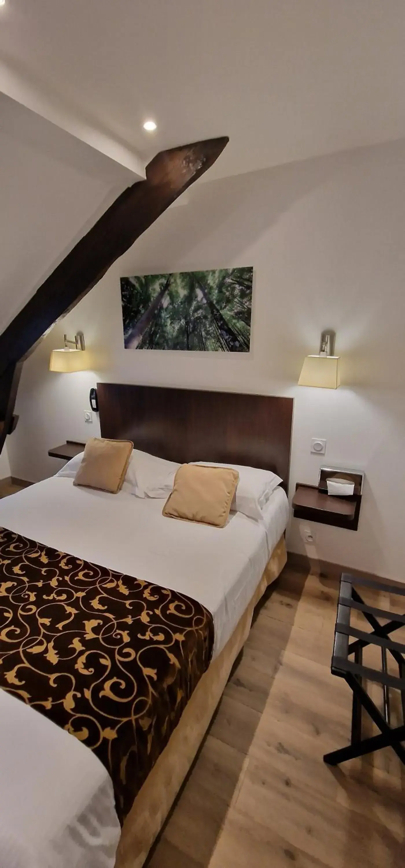 Double Room in Hotel le Bellevue Double Room in Hotel le Bellevue