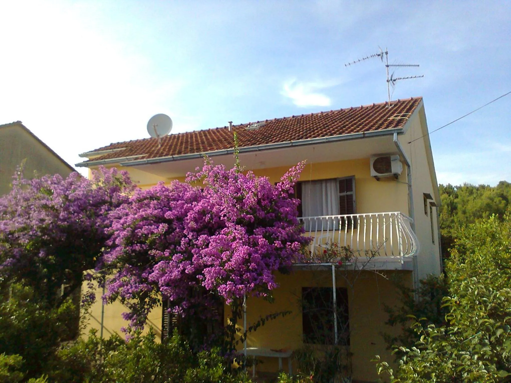 Apartments Runac