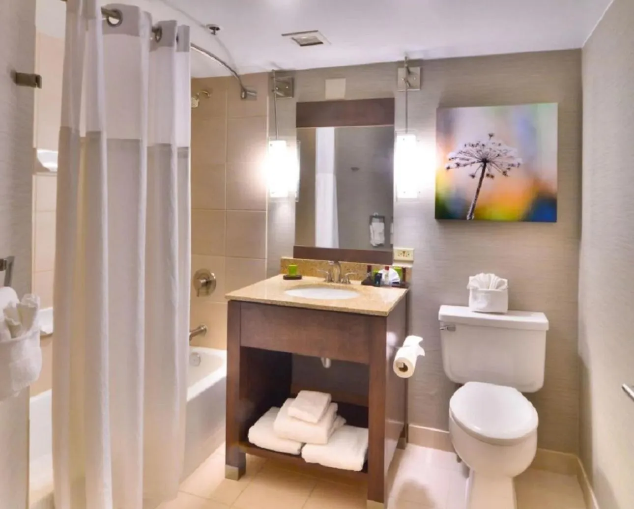 Bathroom in Embassy Suites by Hilton Denver Central Park