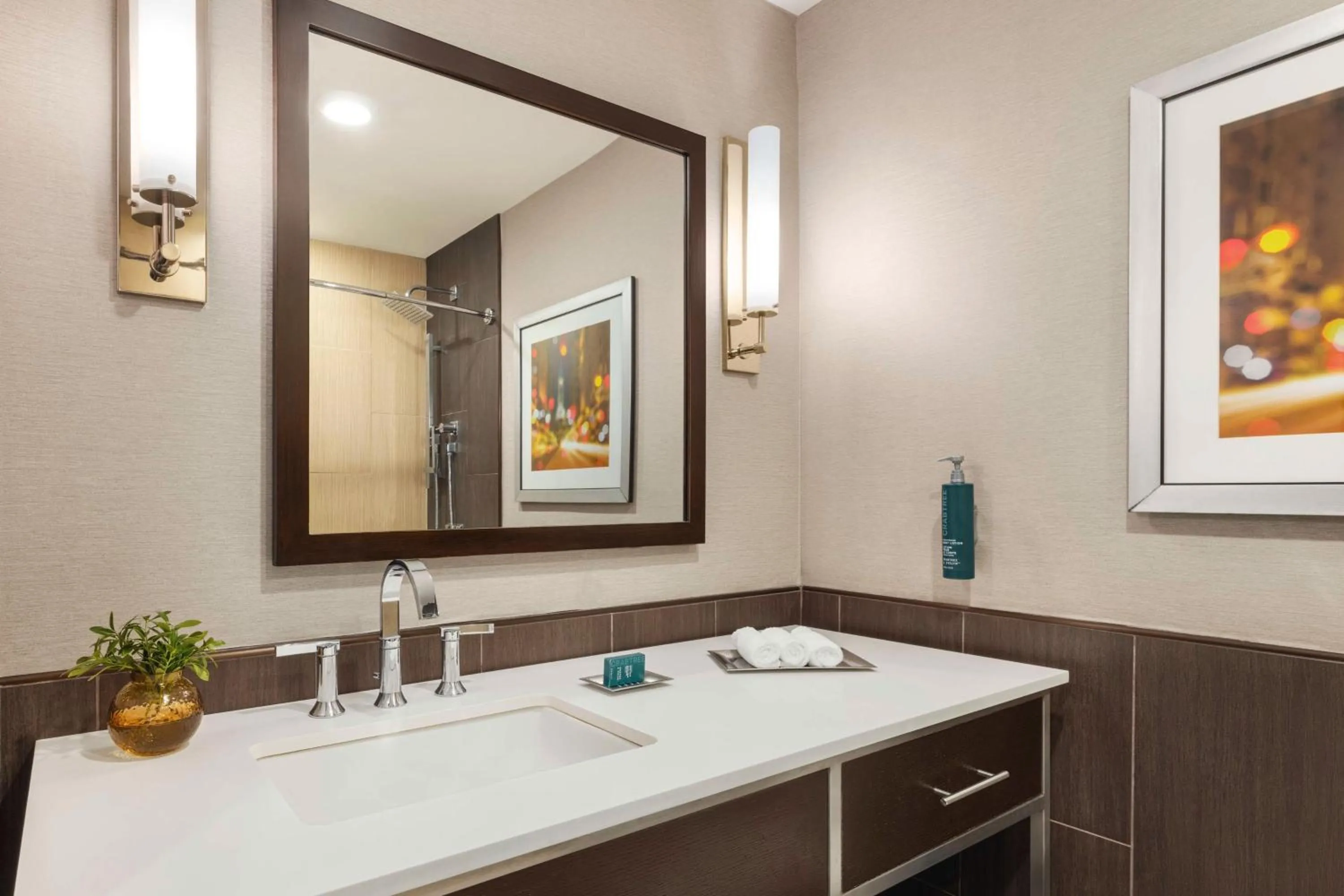 Bathroom in Hilton Philadelphia City Avenue