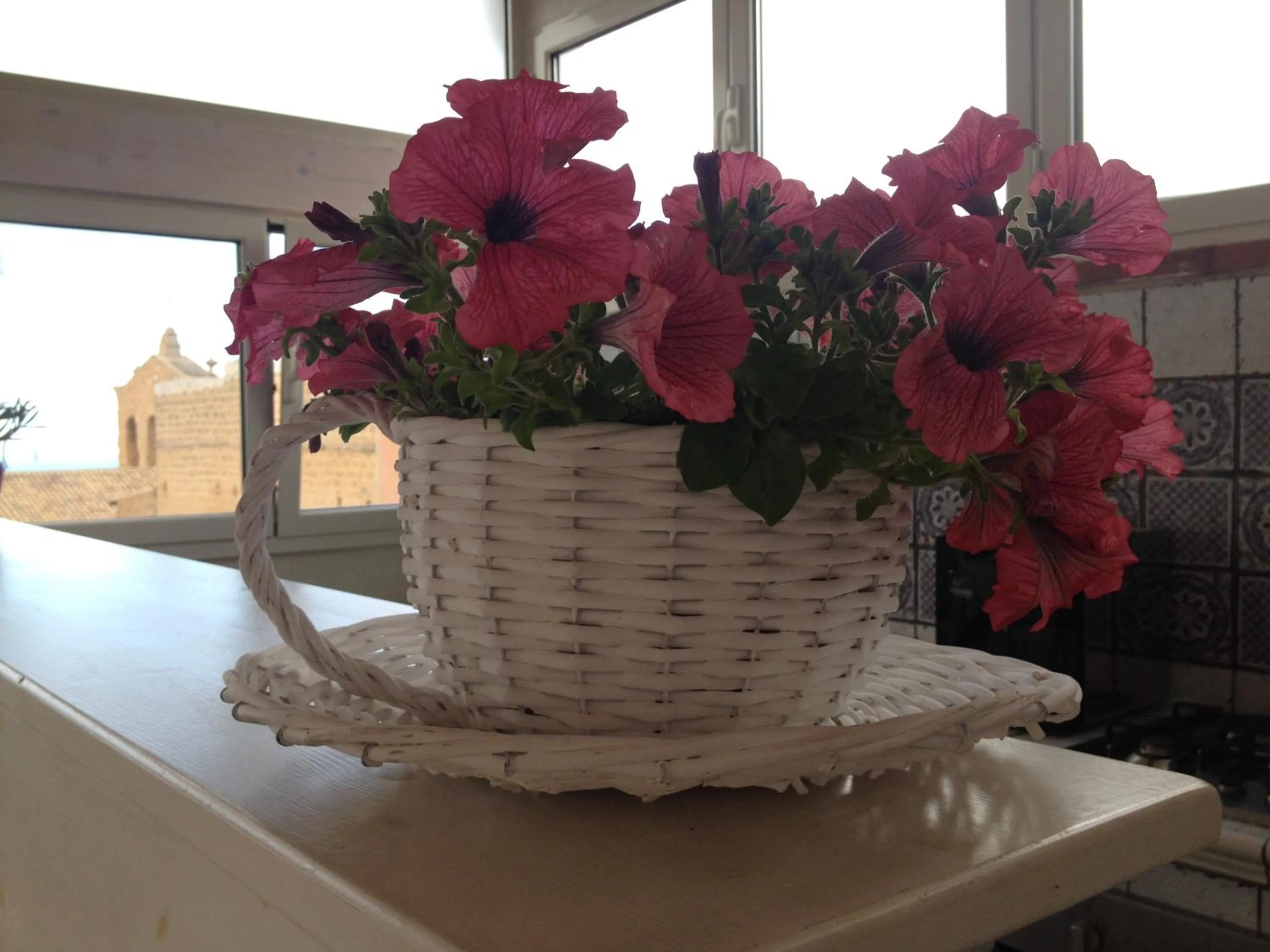 PortAtenea - Atenea Collection