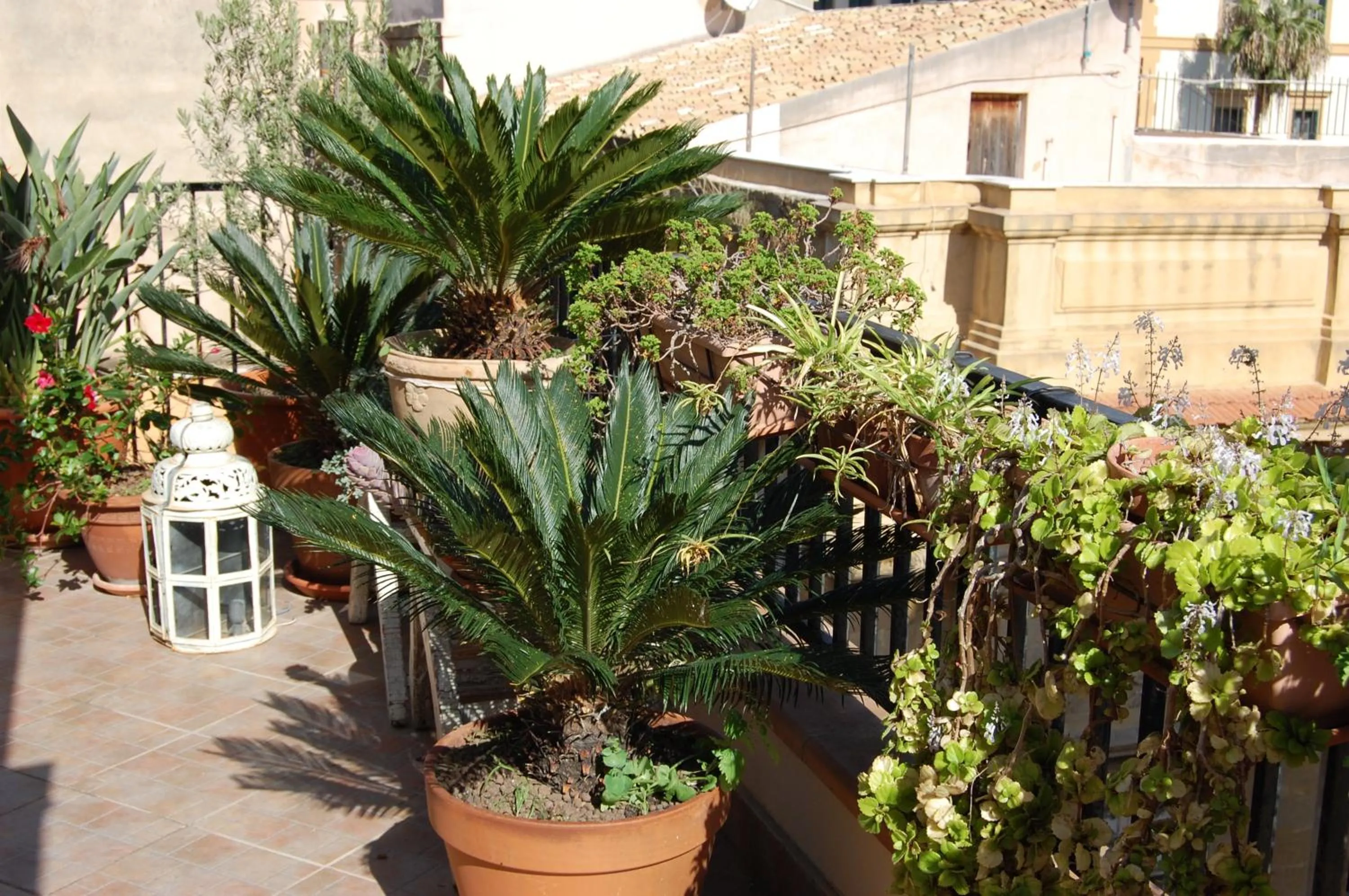 Day in PortAtenea - Atenea Collection