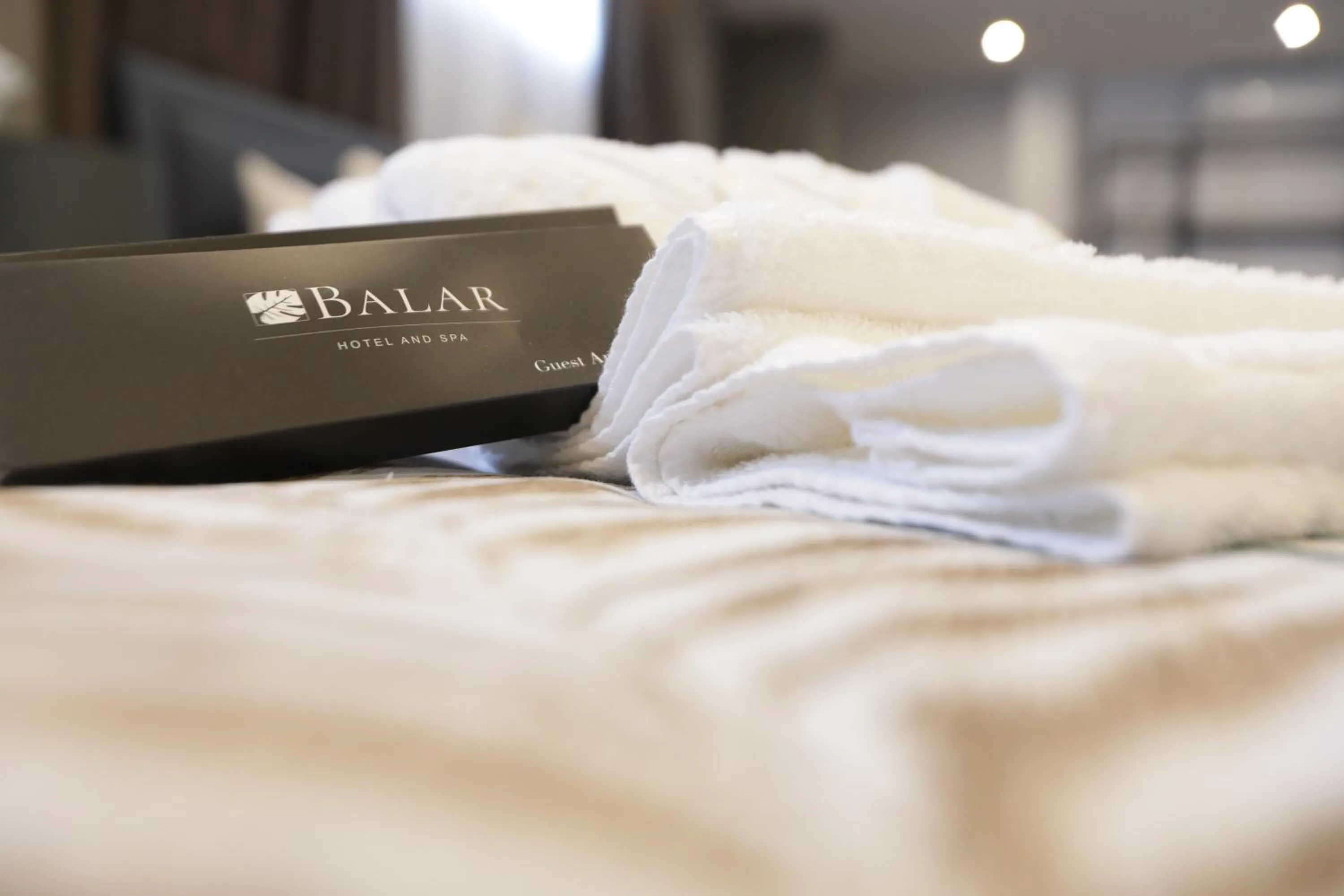 Property logo or sign, Bed in Balar Hotel and Spa