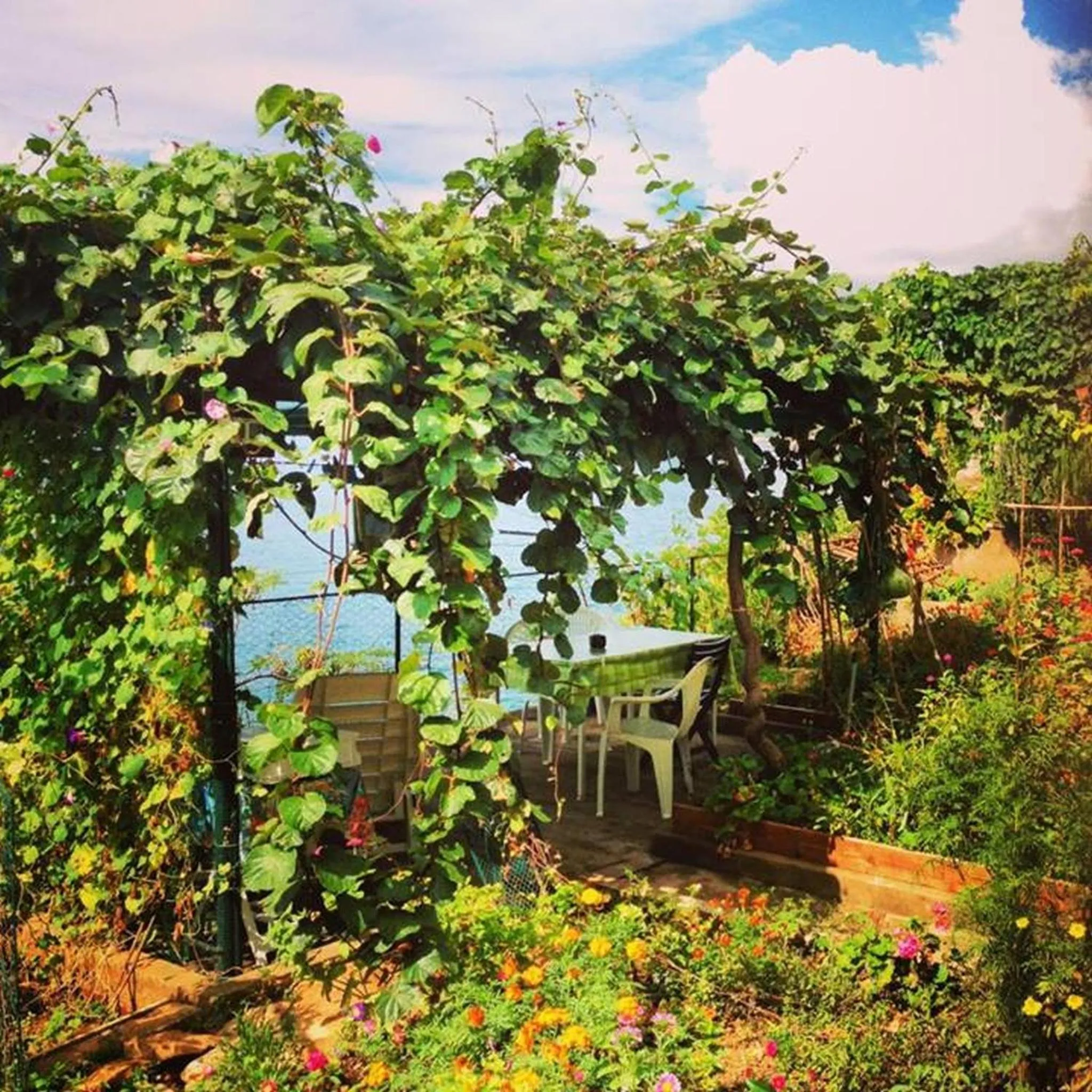 Garden in Sea of Eden