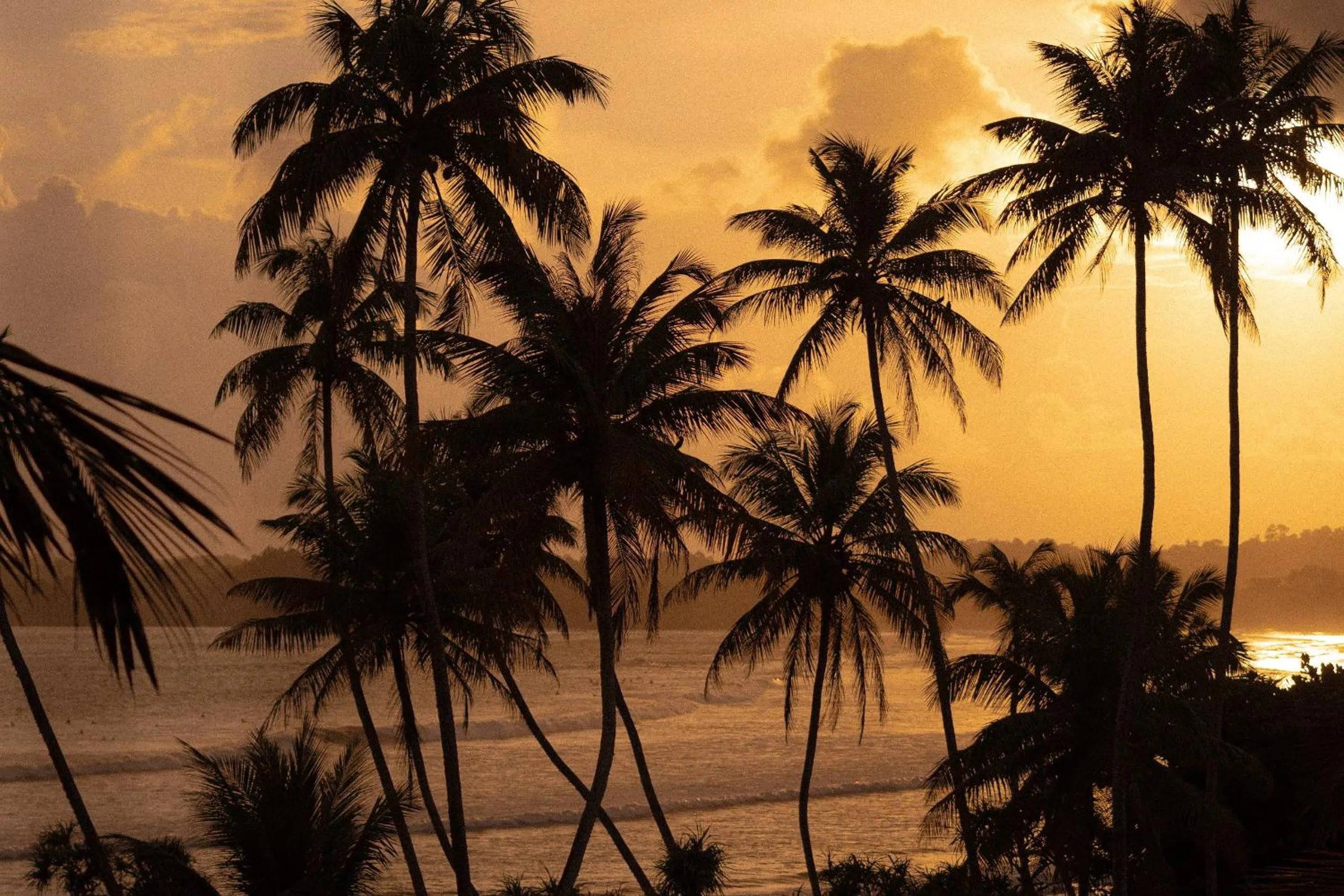 View (from property/room) in Lucky's Surf Camp