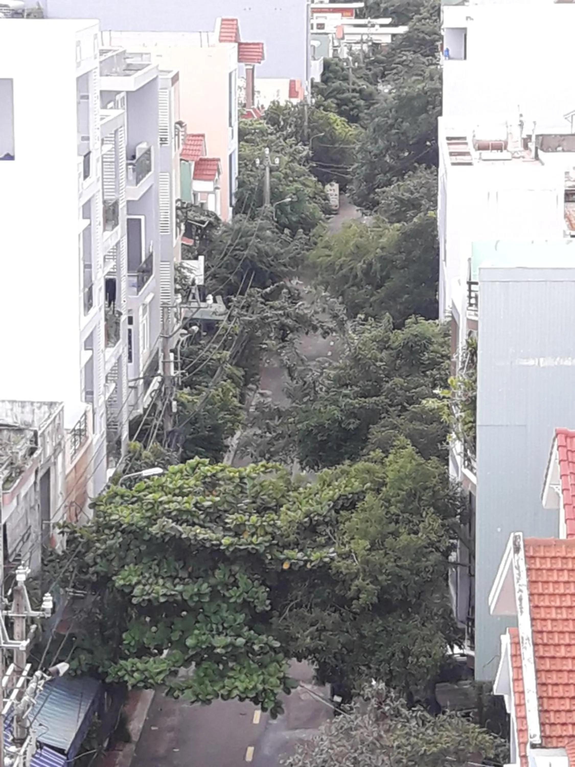 Neighbourhood in Anh Quân Hotel