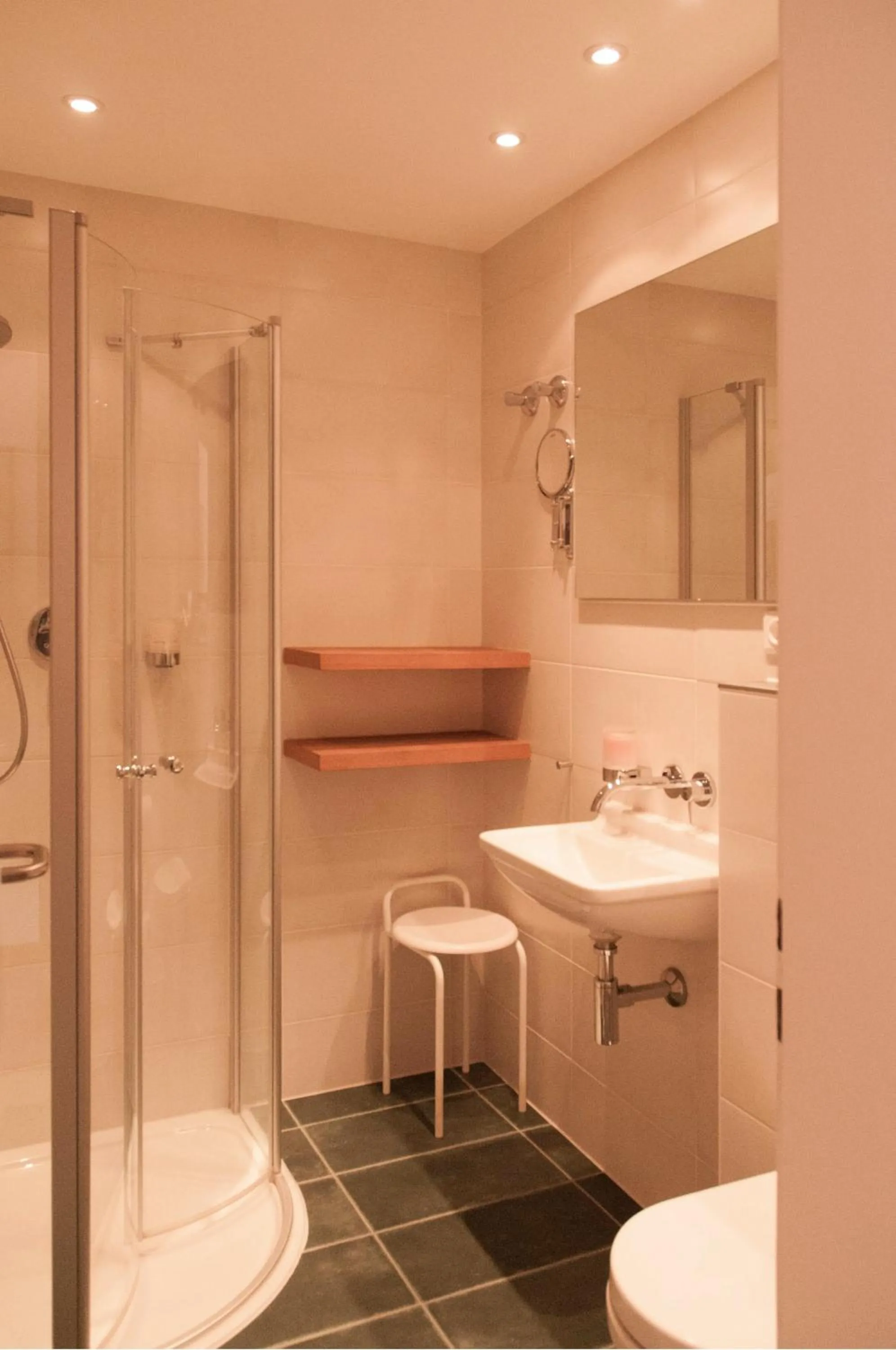 Shower in Hotel Seethaler