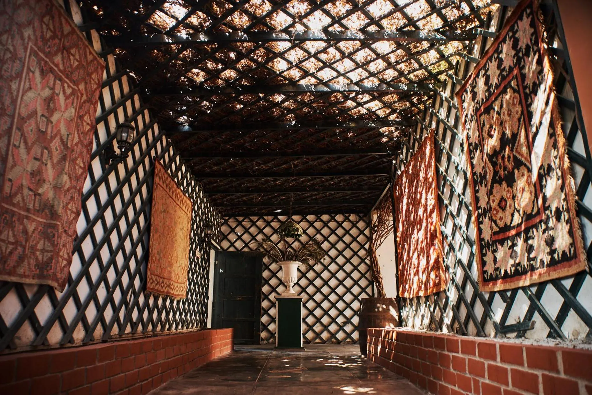 Area and facilities in Hotel Majoro