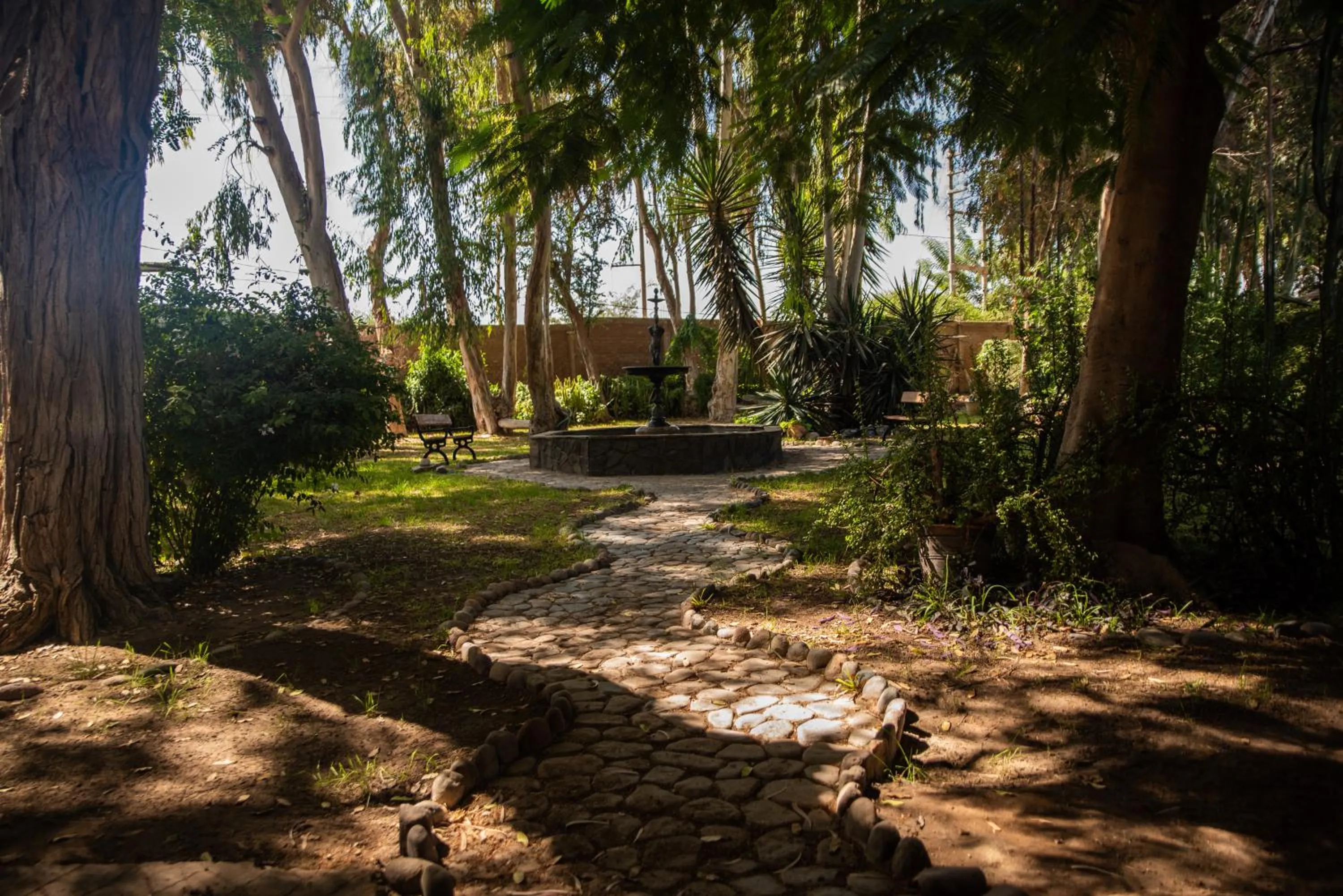 Natural landscape in Hotel Majoro