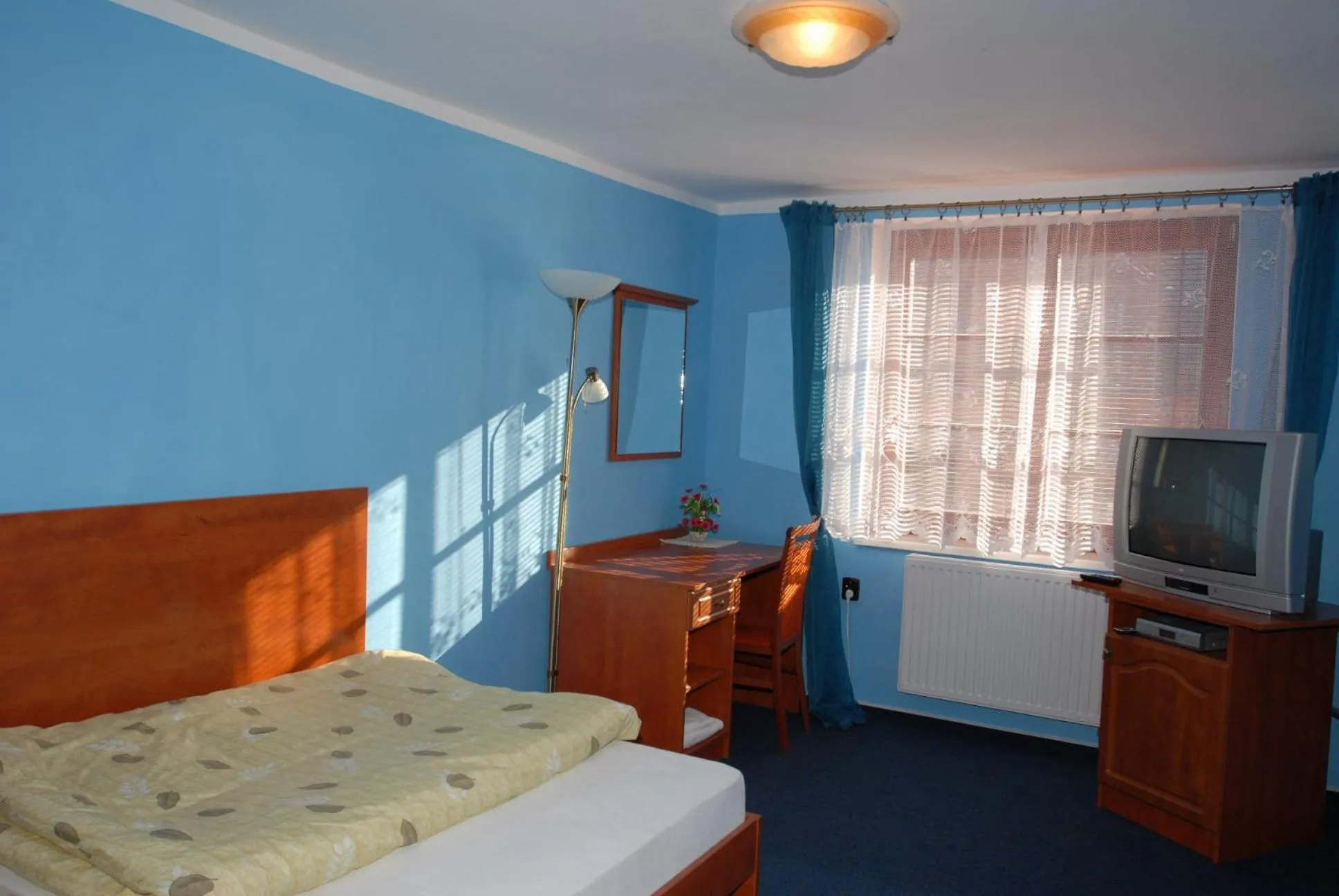 Single Room - single occupancy in Penzion Charlie