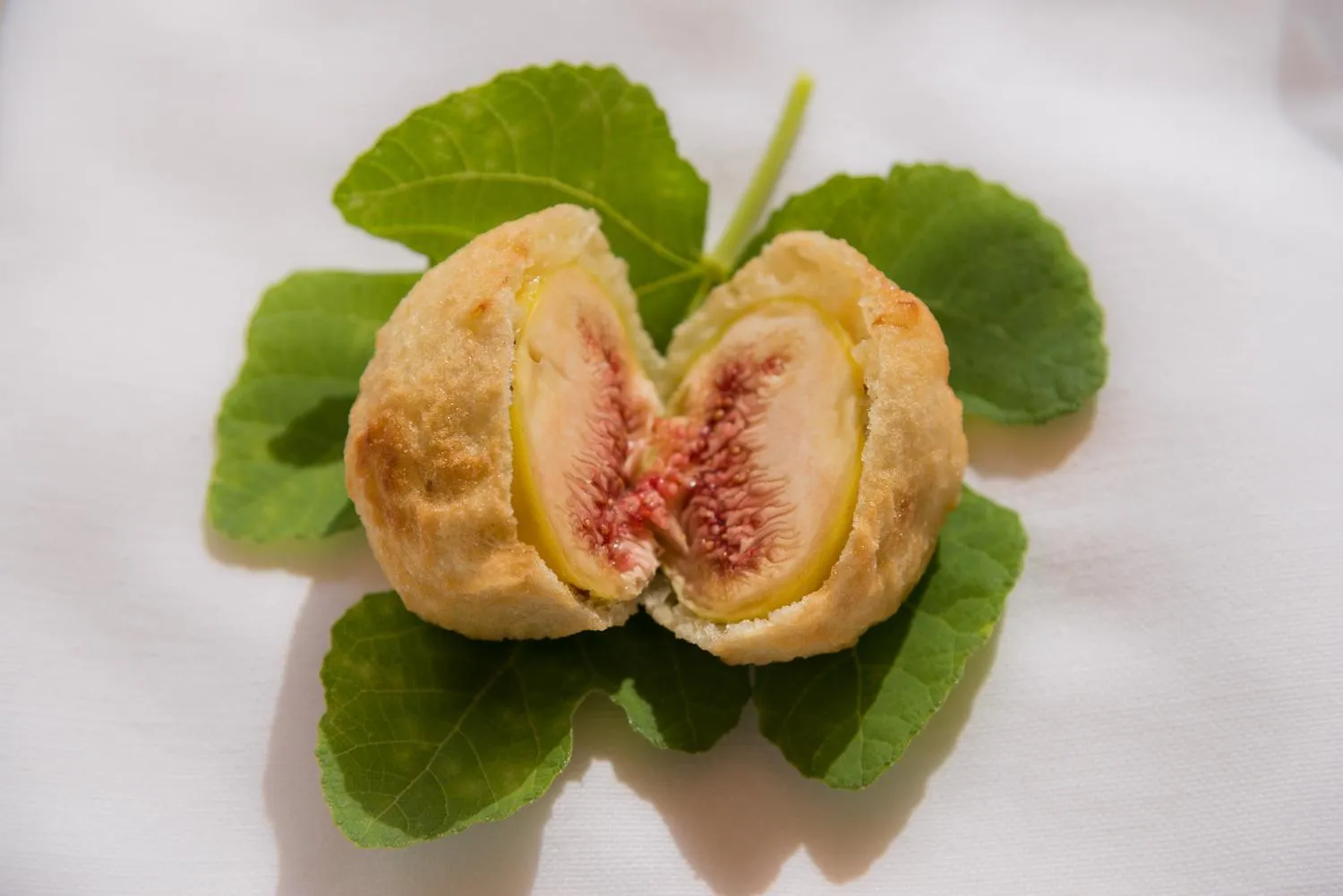 Food and drinks in Furnirussi Tenuta