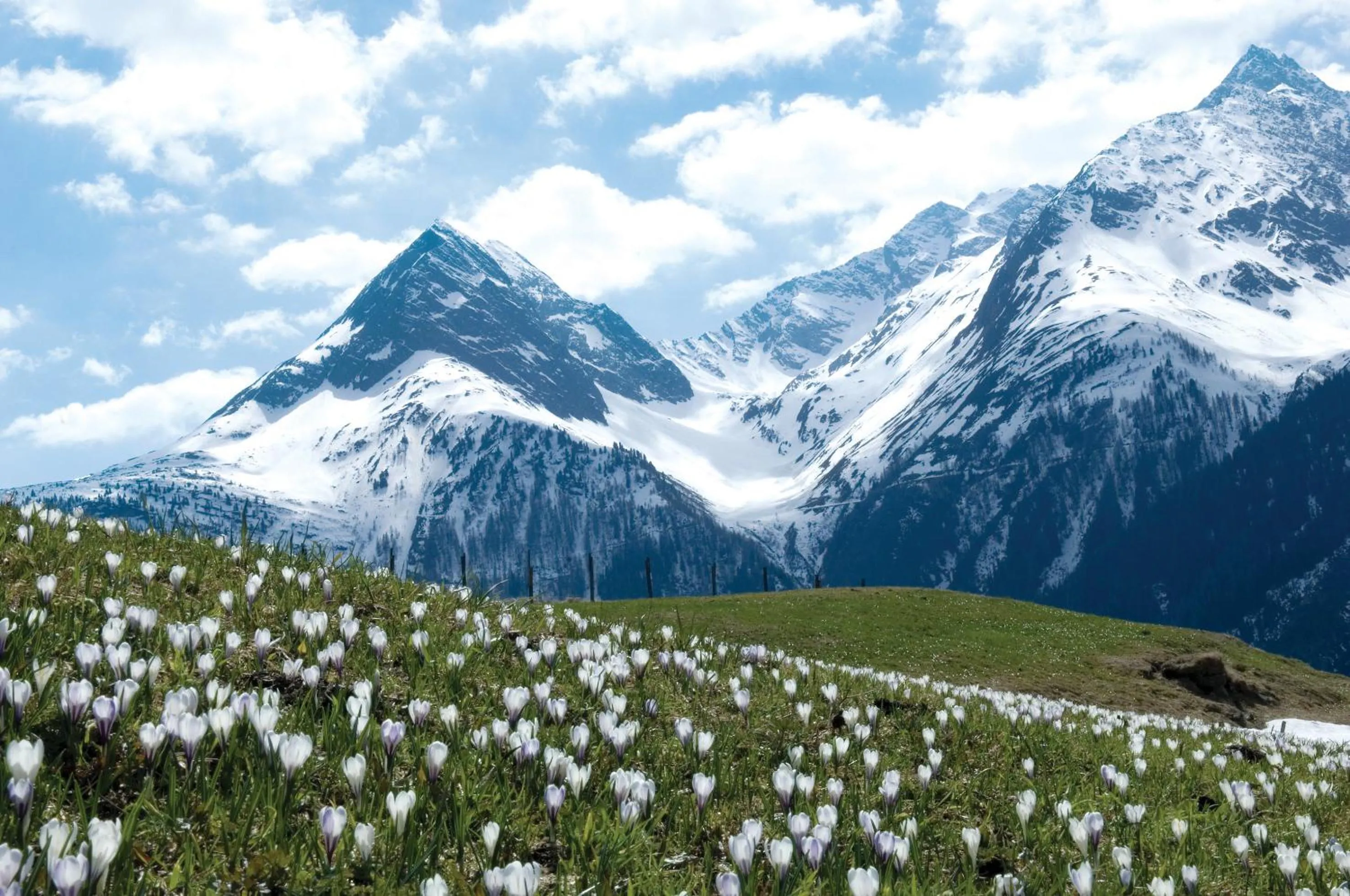 Spring in Easy Living Apartment Ötztal