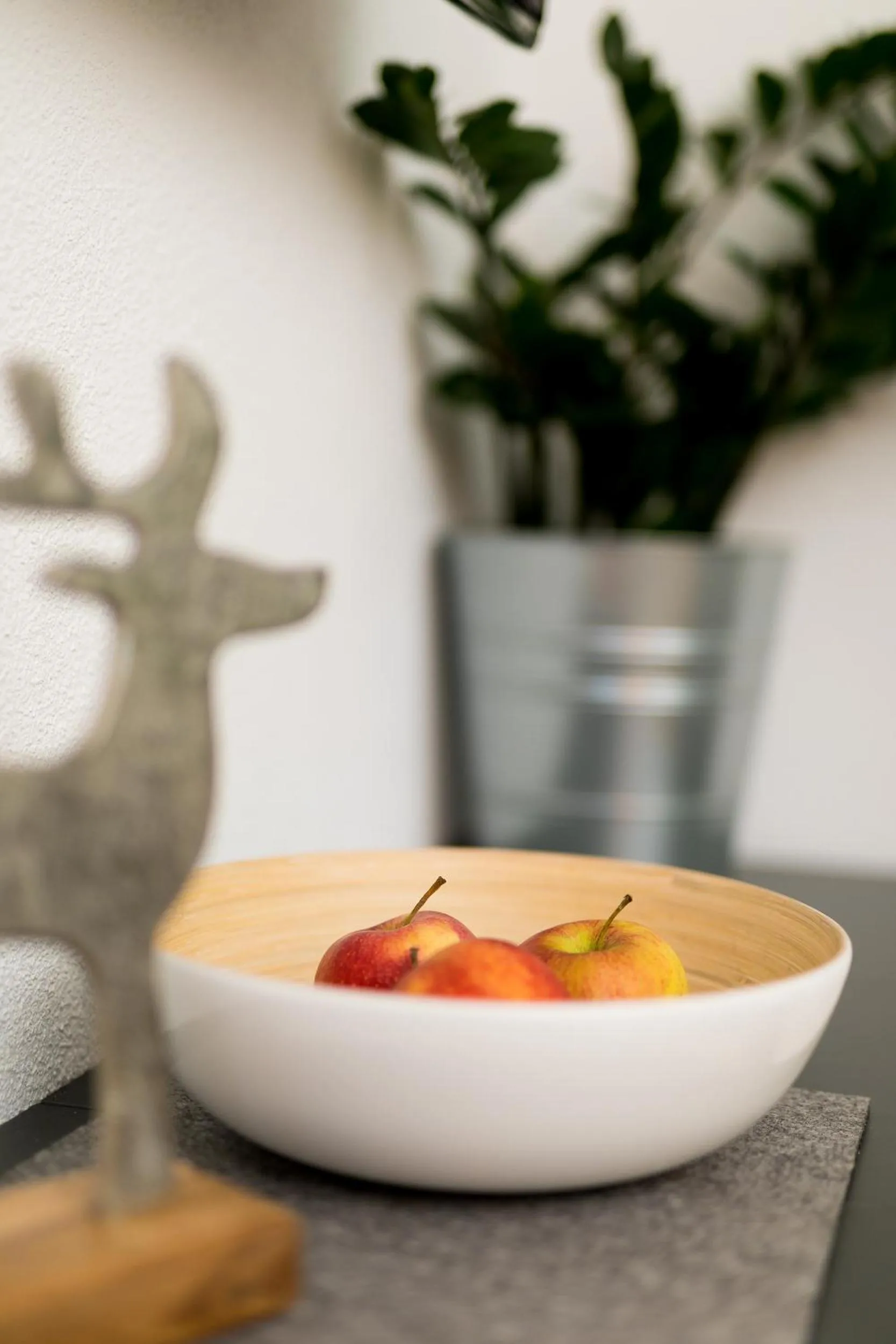 Decorative detail in Easy Living Apartment Ötztal